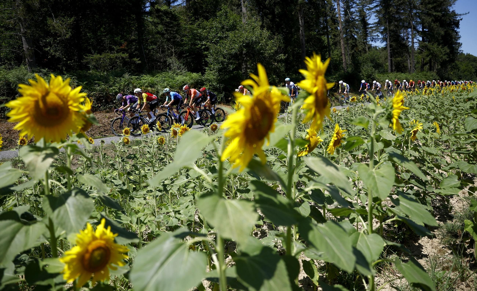 Las mejores fotos del Tour de Francia | Etapa 12