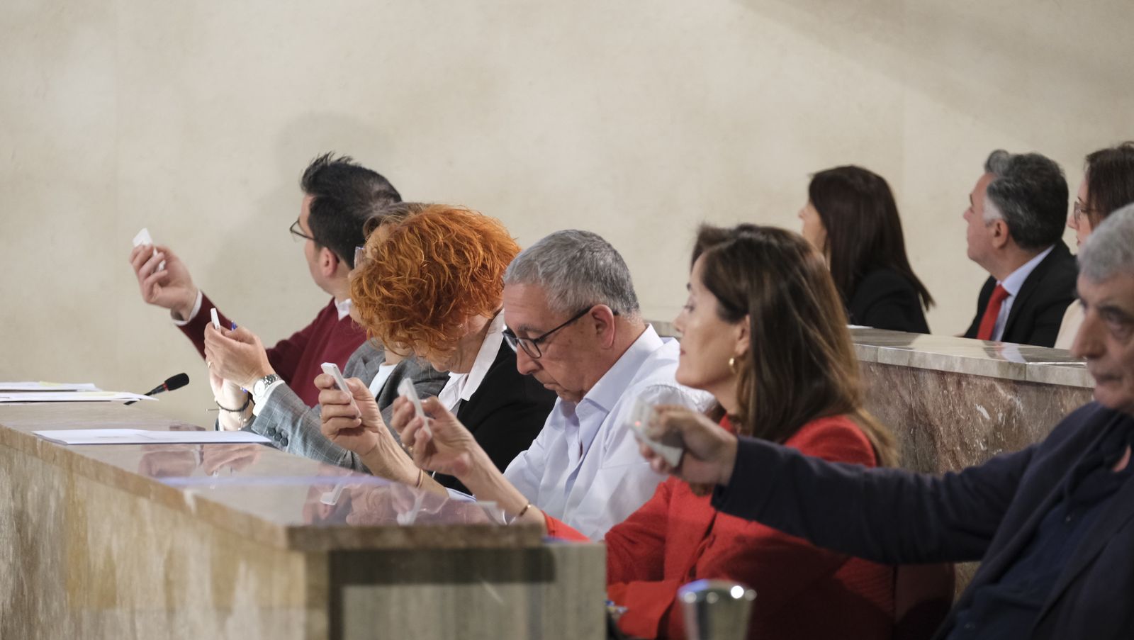 Imágenes del pleno extraordinario del Ayuntamiento de Almería