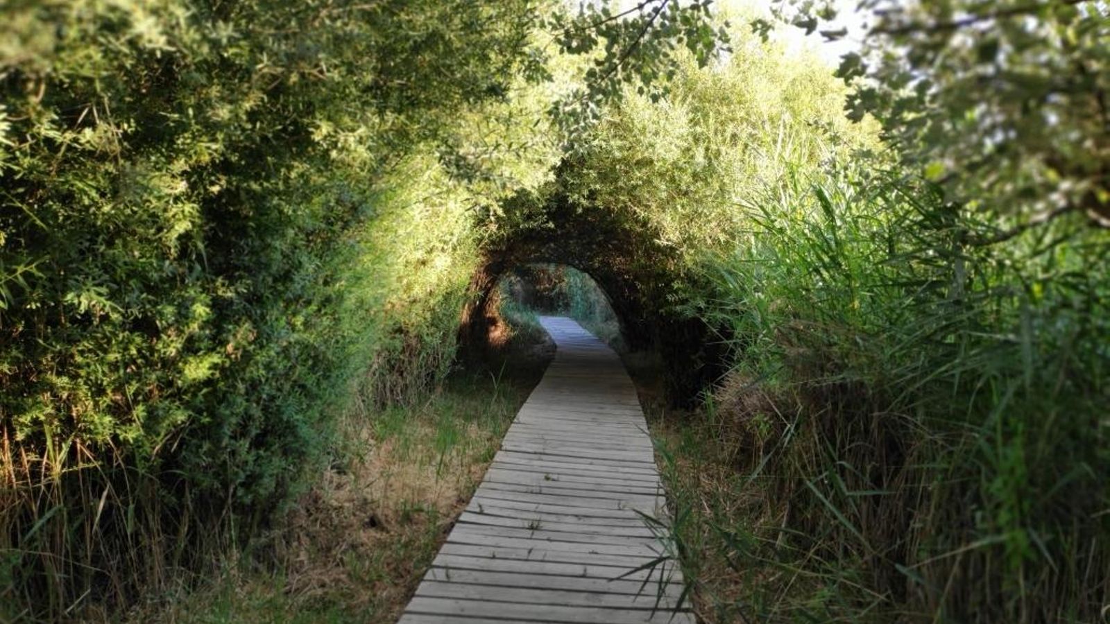 Paseo de madera que forma parte de la ruta