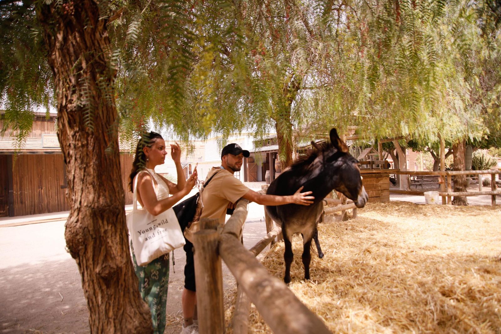 Imágenes del museo a los grandes empresarios y familias históricas de Almería
