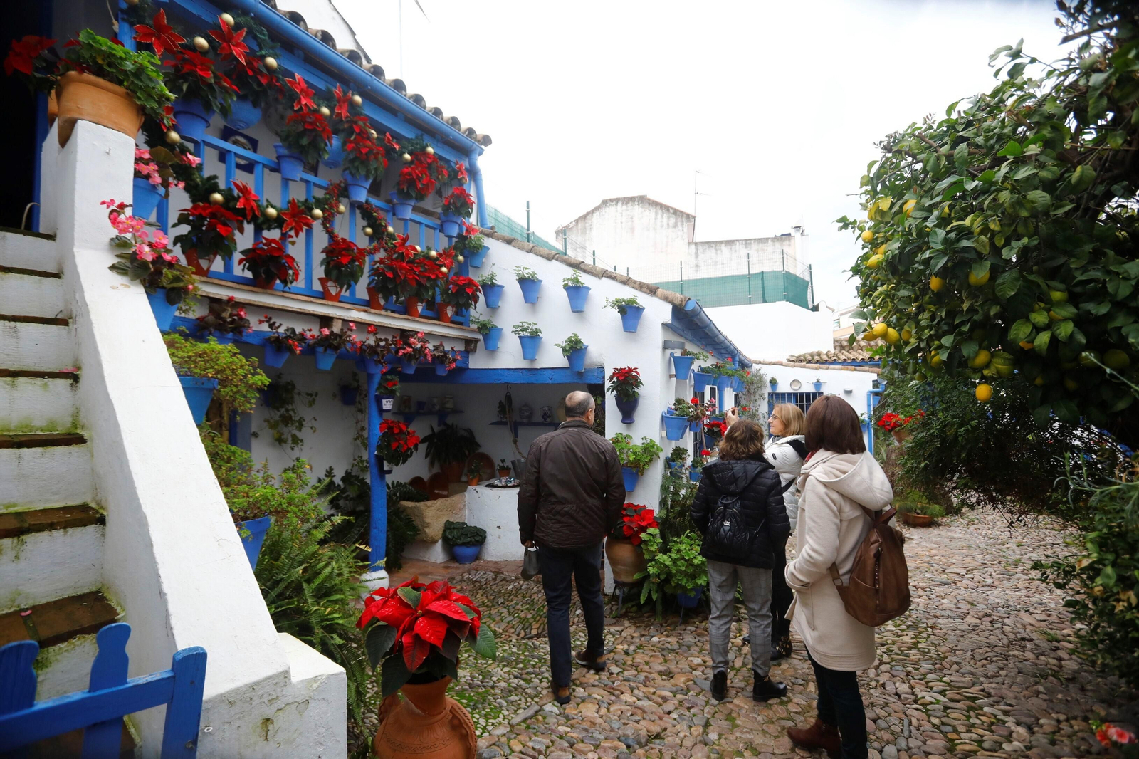 Las mejores imágenes de la apertura de los Patios en Navidad