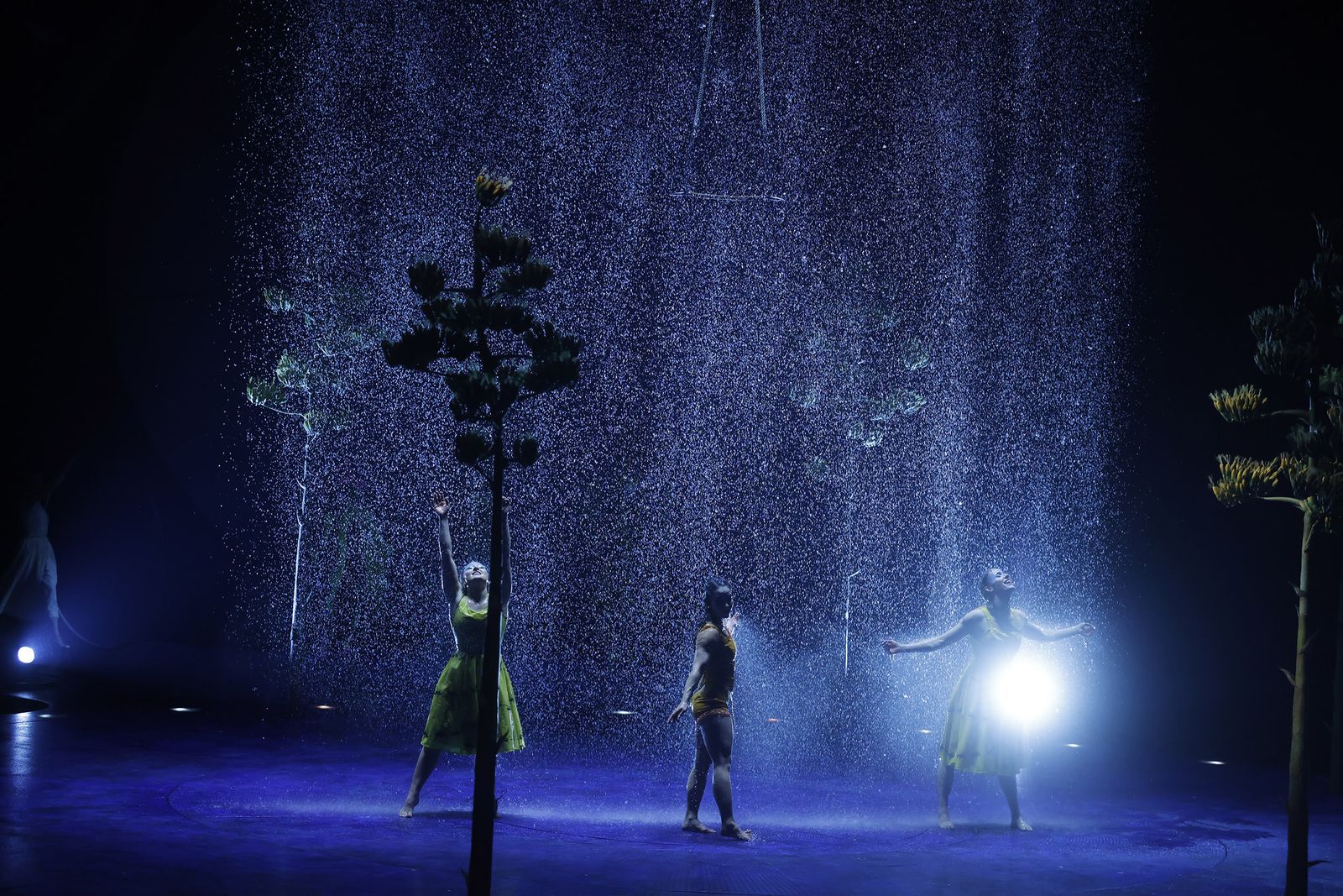 Las imágenes del espectáculo 'Luzia' del Circo del Sol