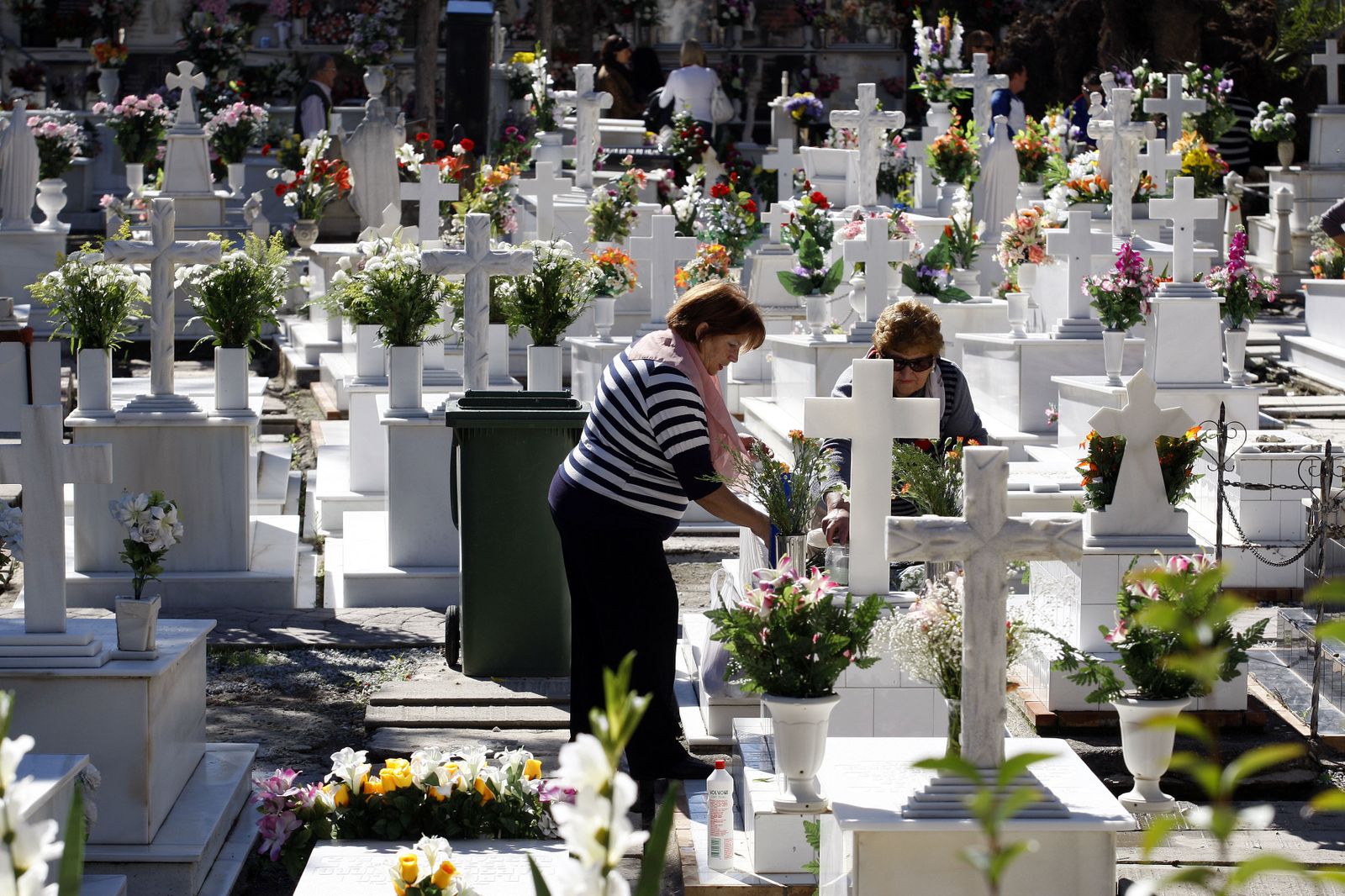 Flores renovadas en el cementerio de El Palo. Aquí, el medio también es el mensaje.