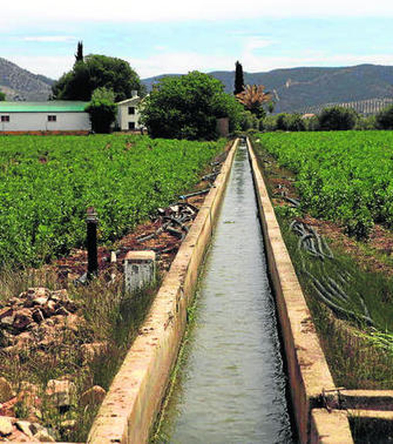 Canal de riego en la Vega de Antequera.