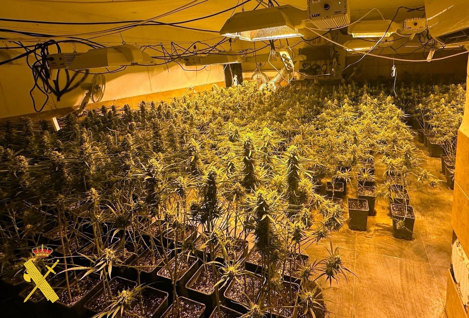 Interior de la nave en la que cultivaba marihuana.