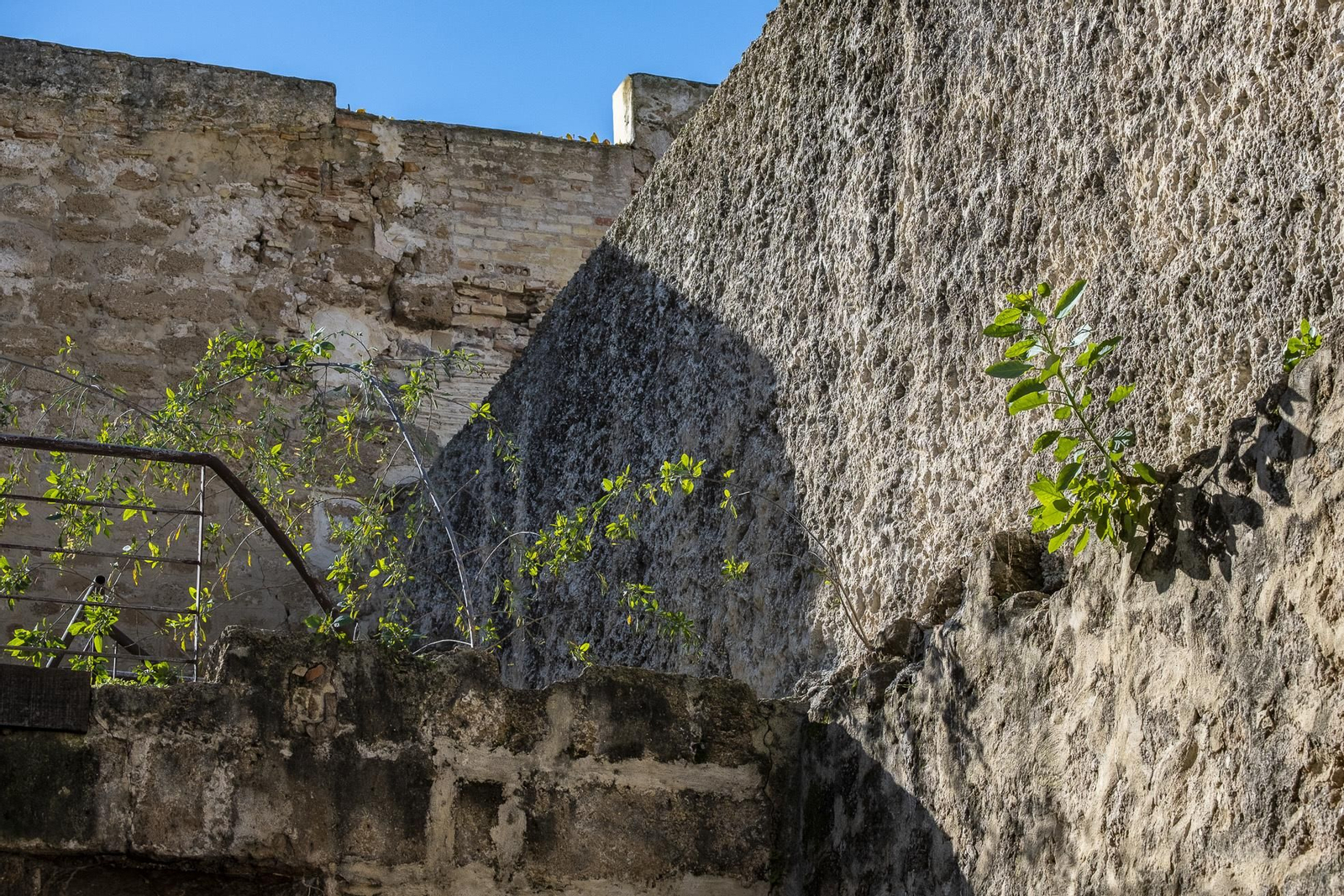 Arco de los Blanco y muralla medieval