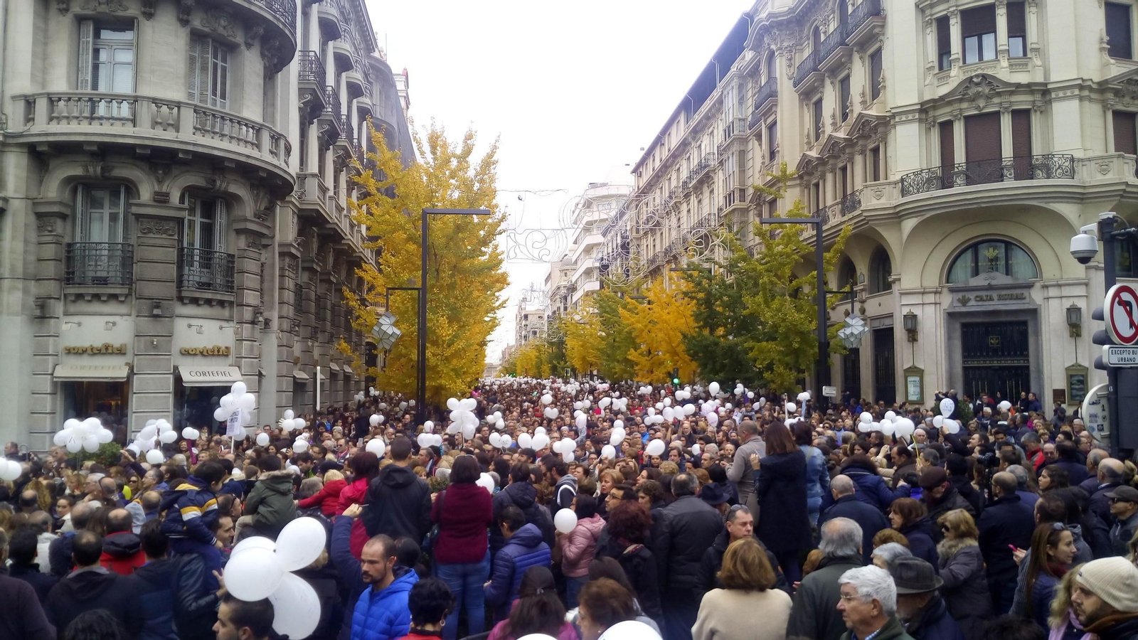 Manifestación contra la fusión hospitalaria