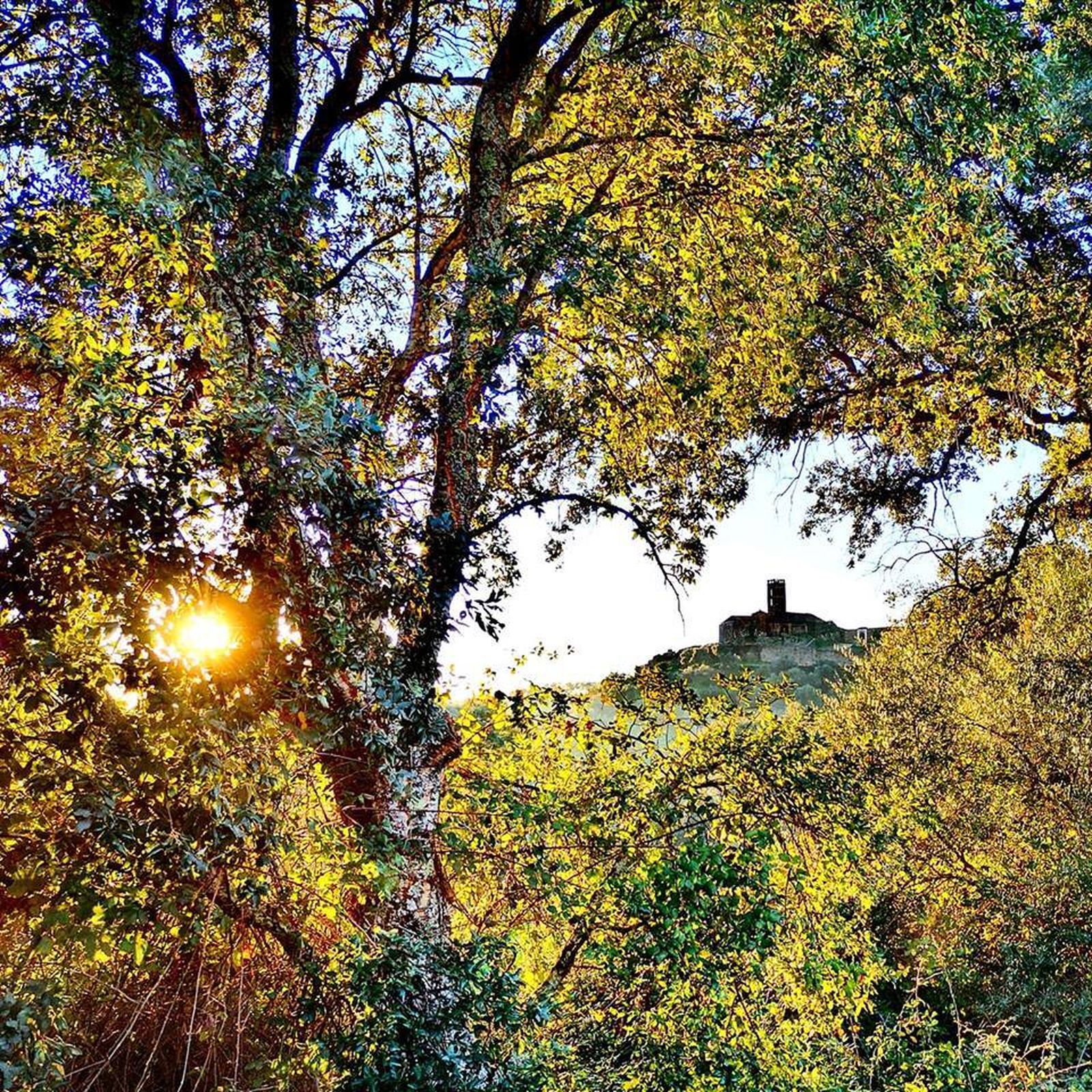 Posee además una arquitectura popular de gran interés, con calles cuidadosamente empedradas, rincones singulares y un legado histórico