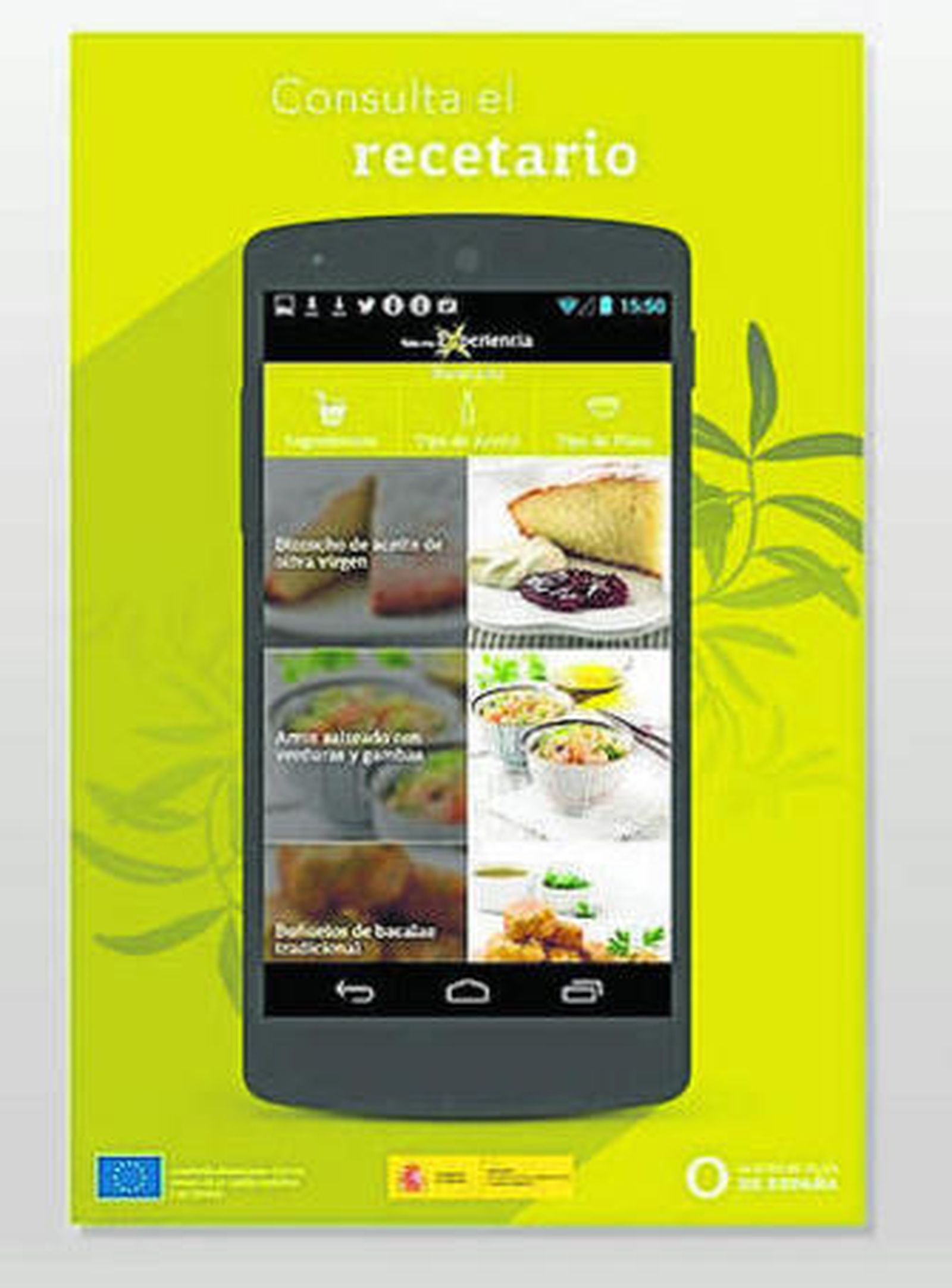 Salir a Internet: Todo el aceite de oliva en el móvil