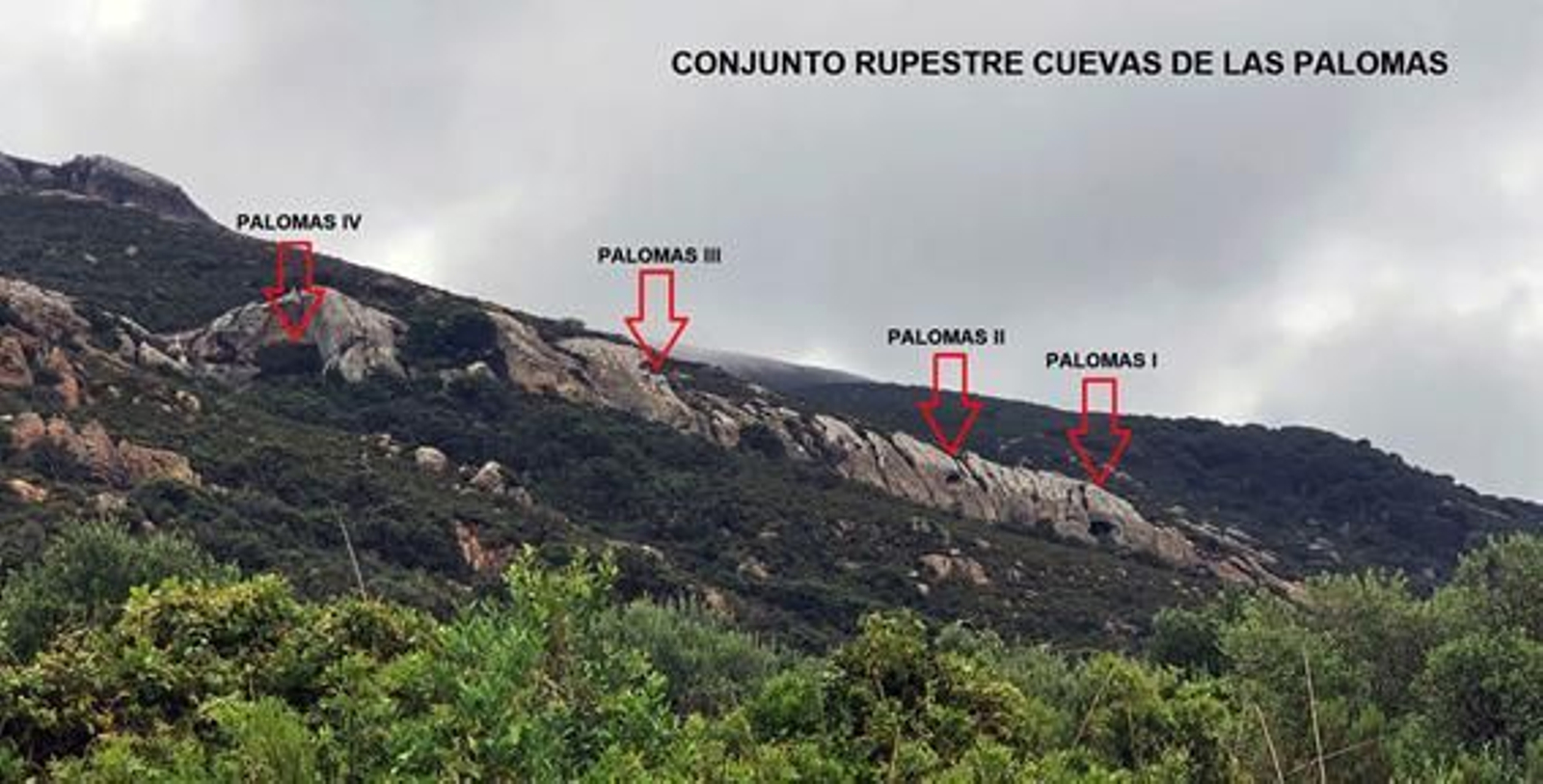 Ubicación de las cavidades de Palomas . Ubicación de las cavidades de Palomas .