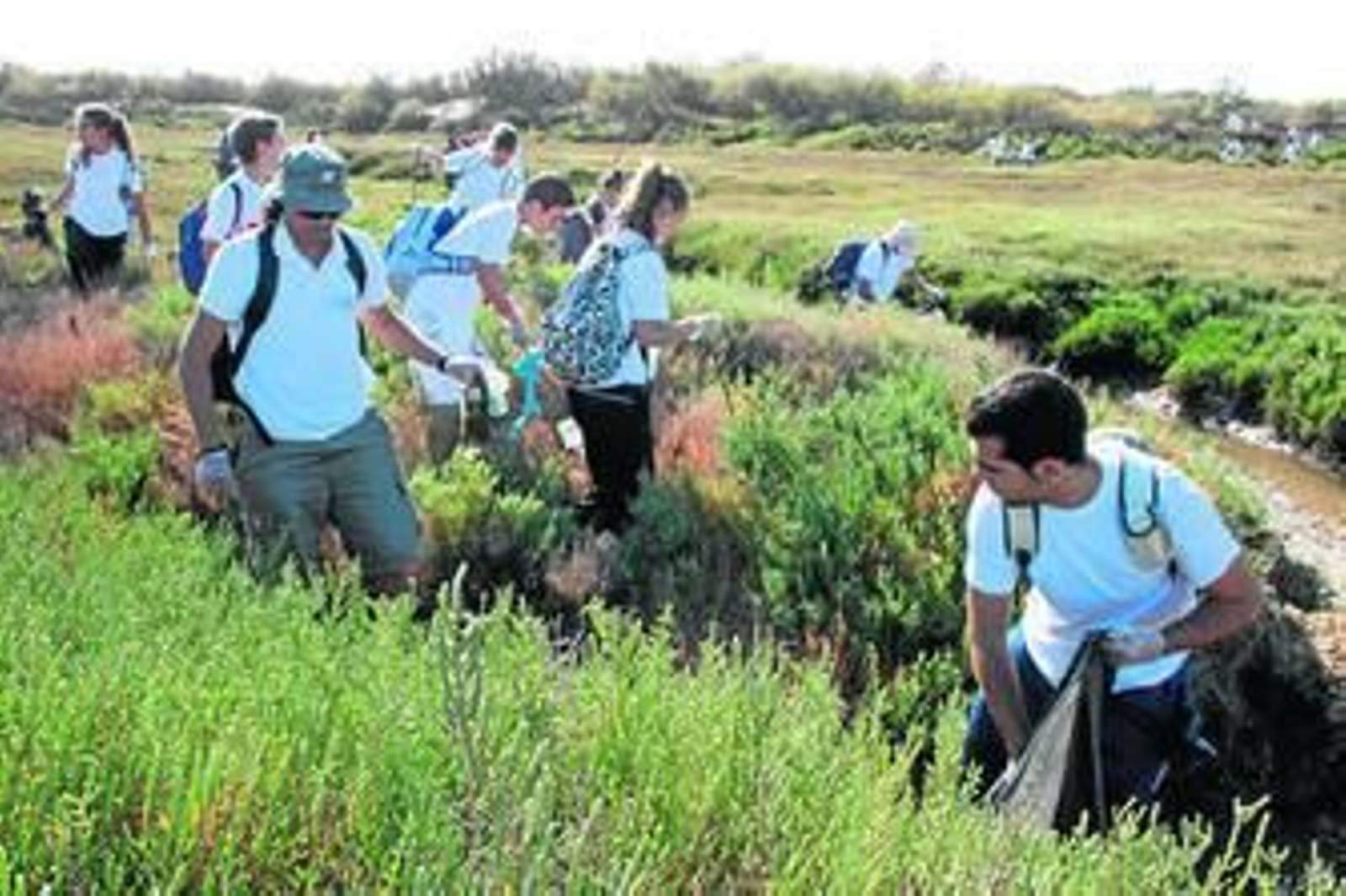 Grupo de voluntarios limpiando el paraje natural.