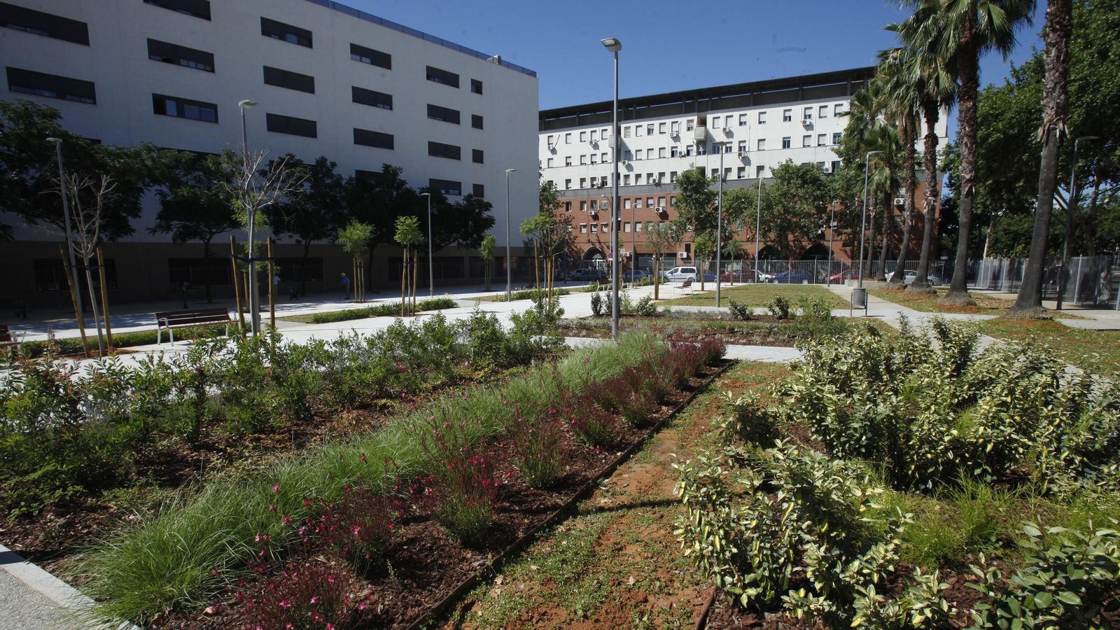 Zona sur de la plaza.