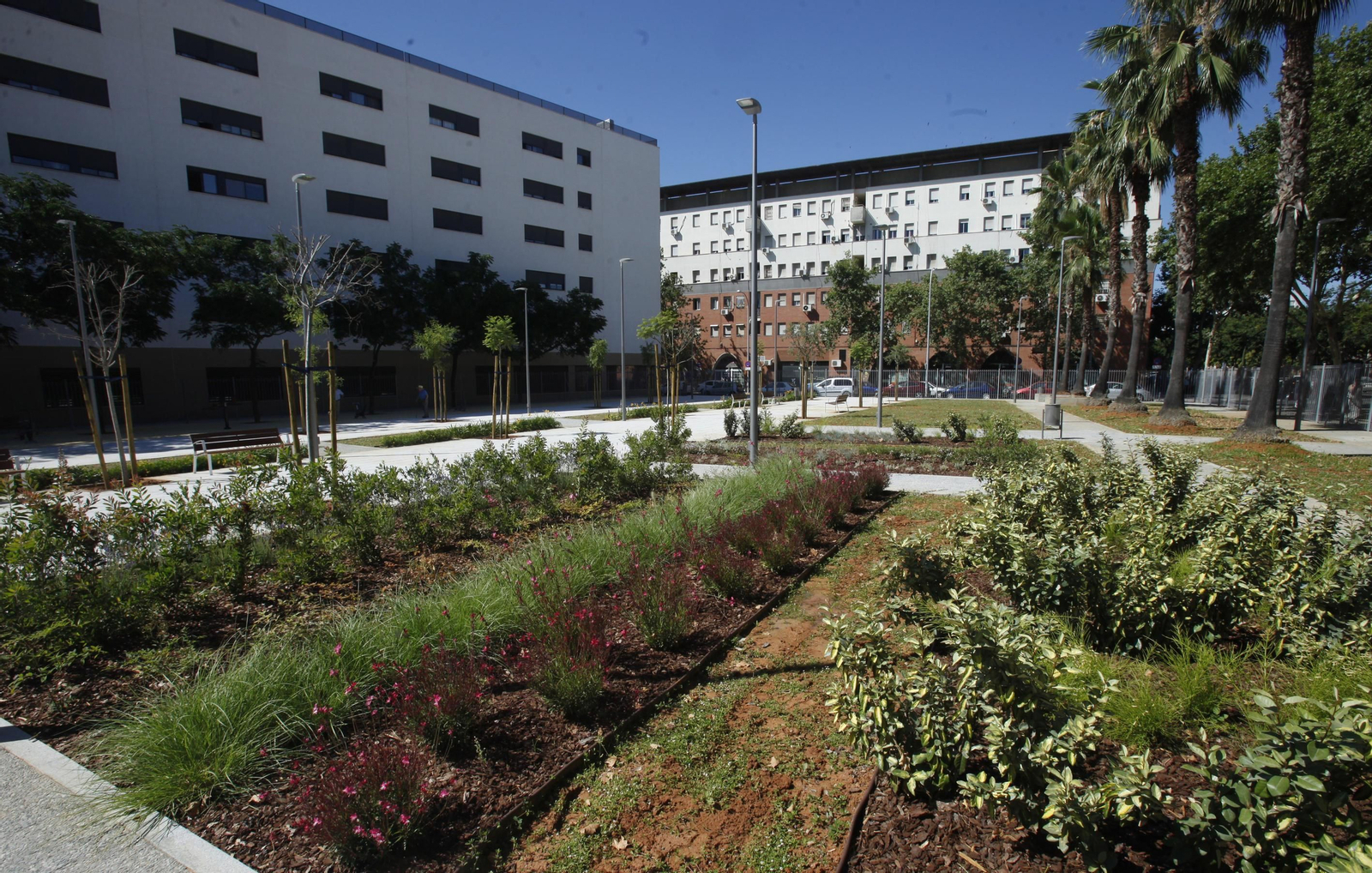 El nuevo jardín de Juan Antonio Cavestany, en imágenes