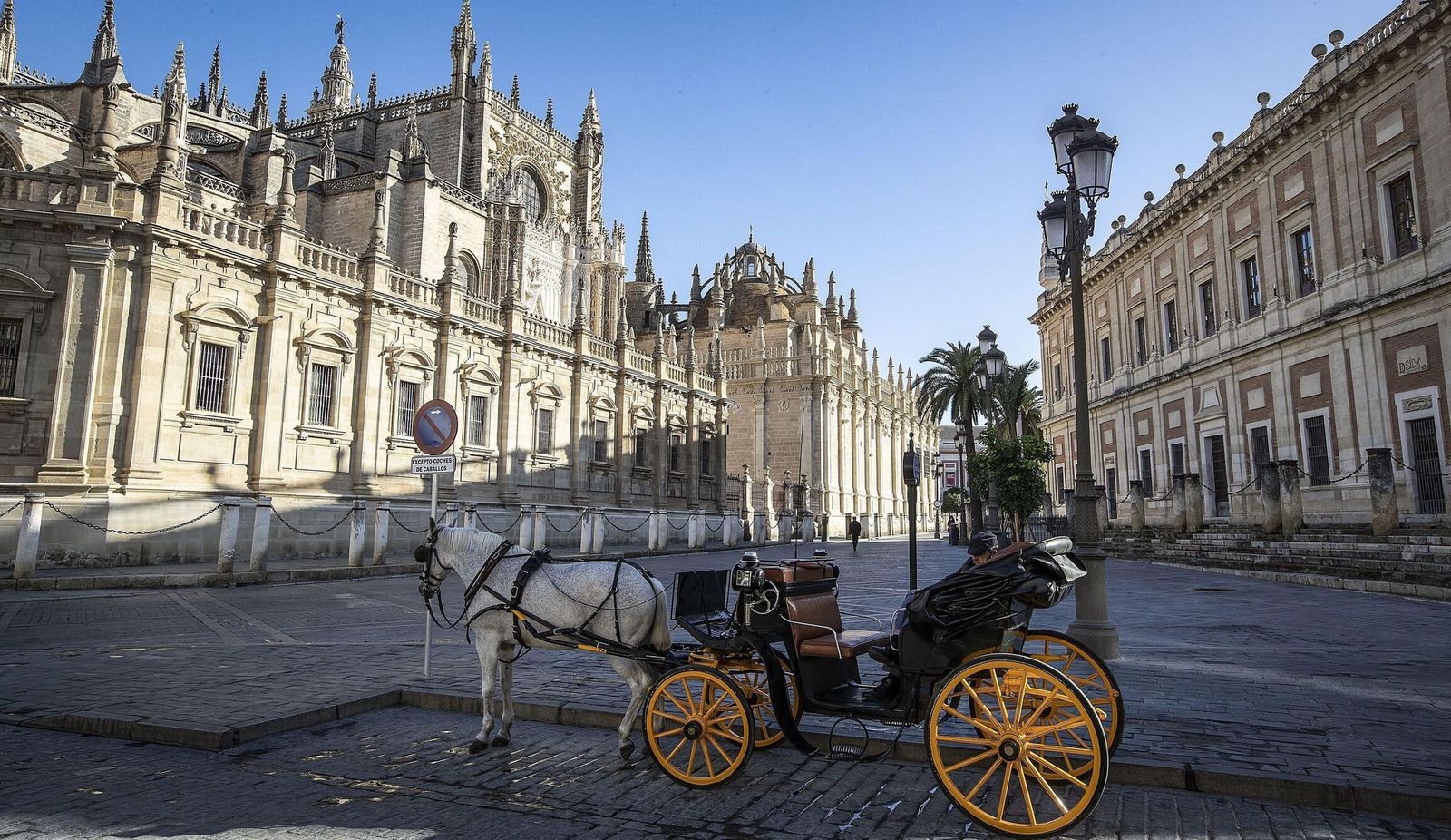Un cochero en los alrededores a la Catedral de Sevilla.