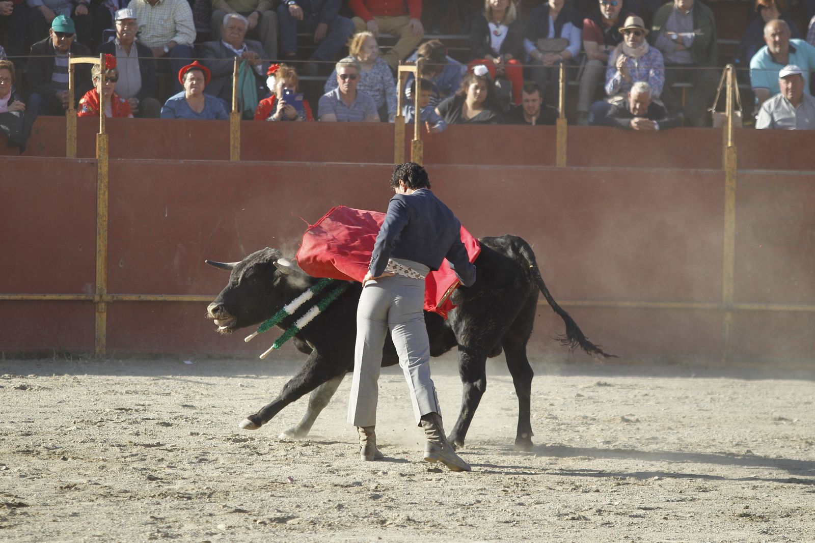 Fotogalería Festival Taurino Mixto. Fiestas de Abrucena.