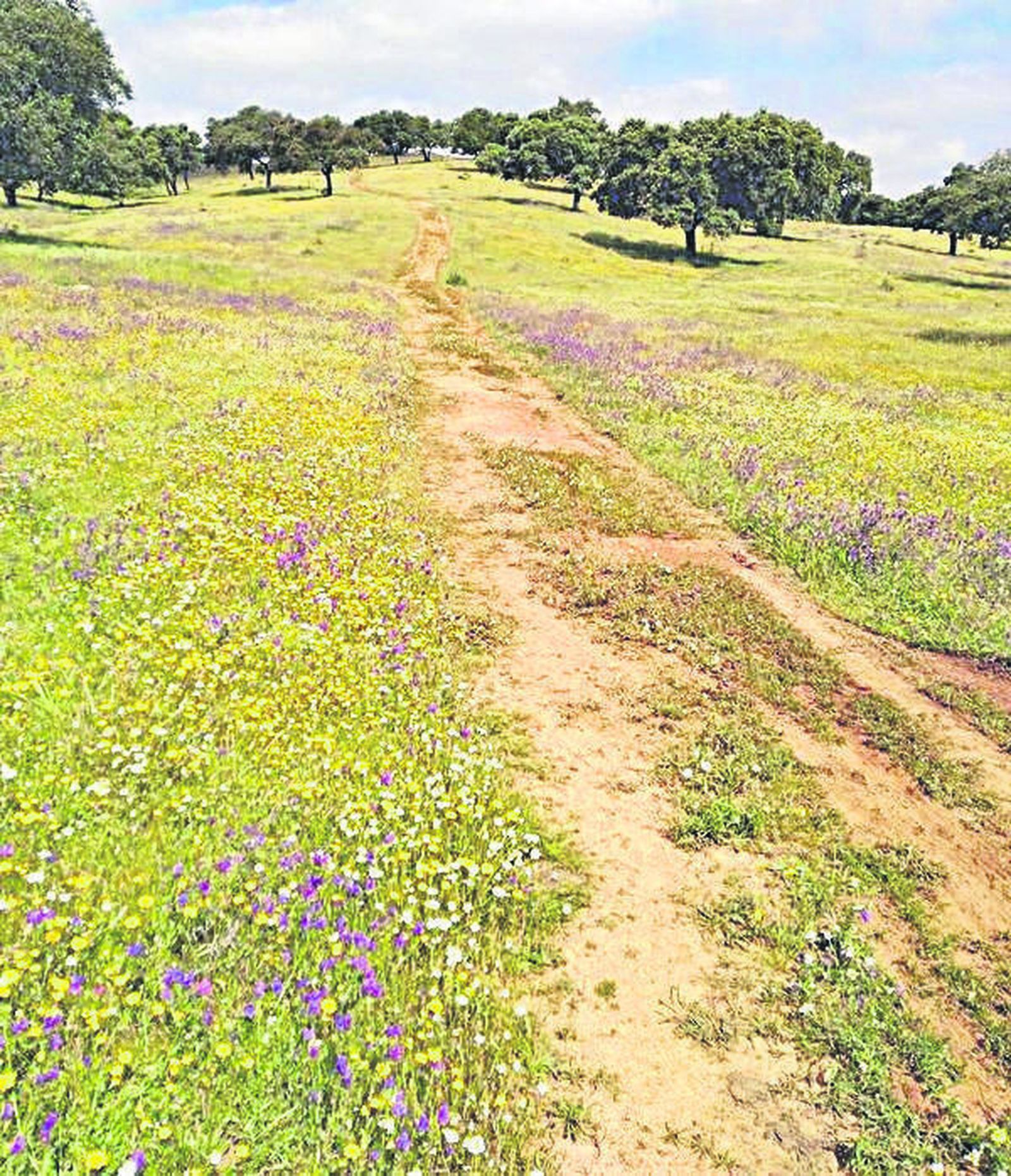 El cerdo ibérico es el protagonista de muchas recetas tradicionales de El Garrobo.