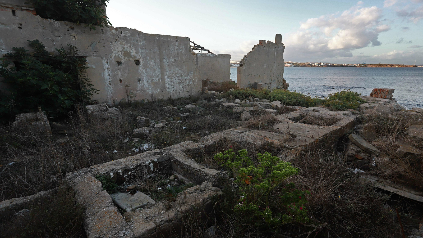 Las mejores fotos de La Ballenera en Algeciras