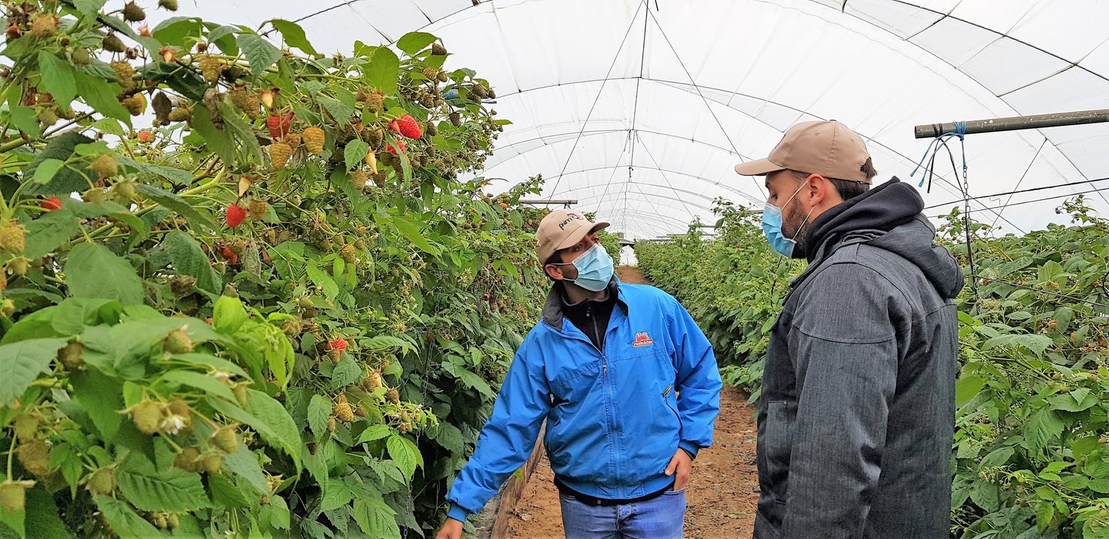 Intercambio formativo entre jóvenes agricultores.