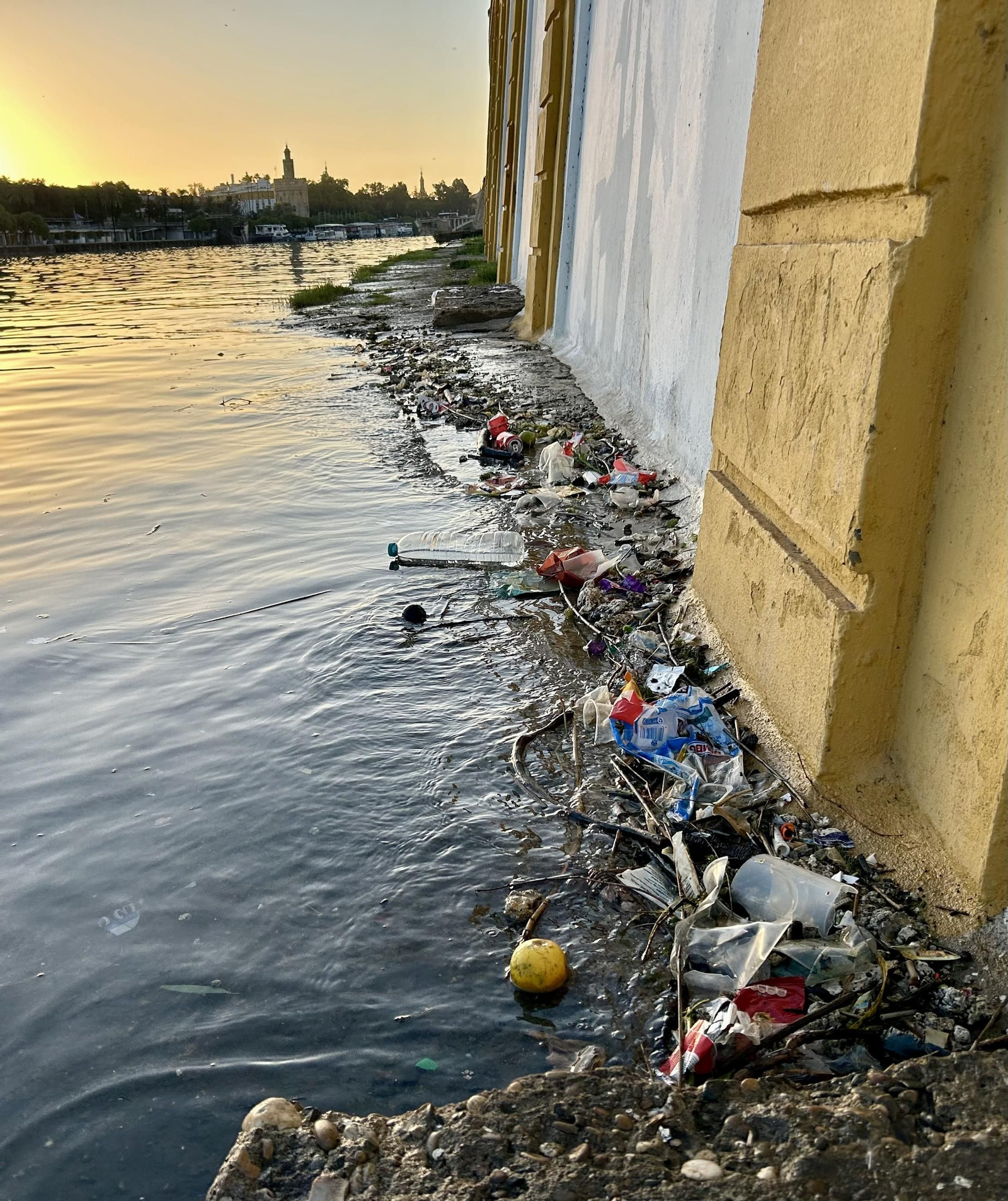 Así amanece hoy el Guadalquivir en Sevilla
