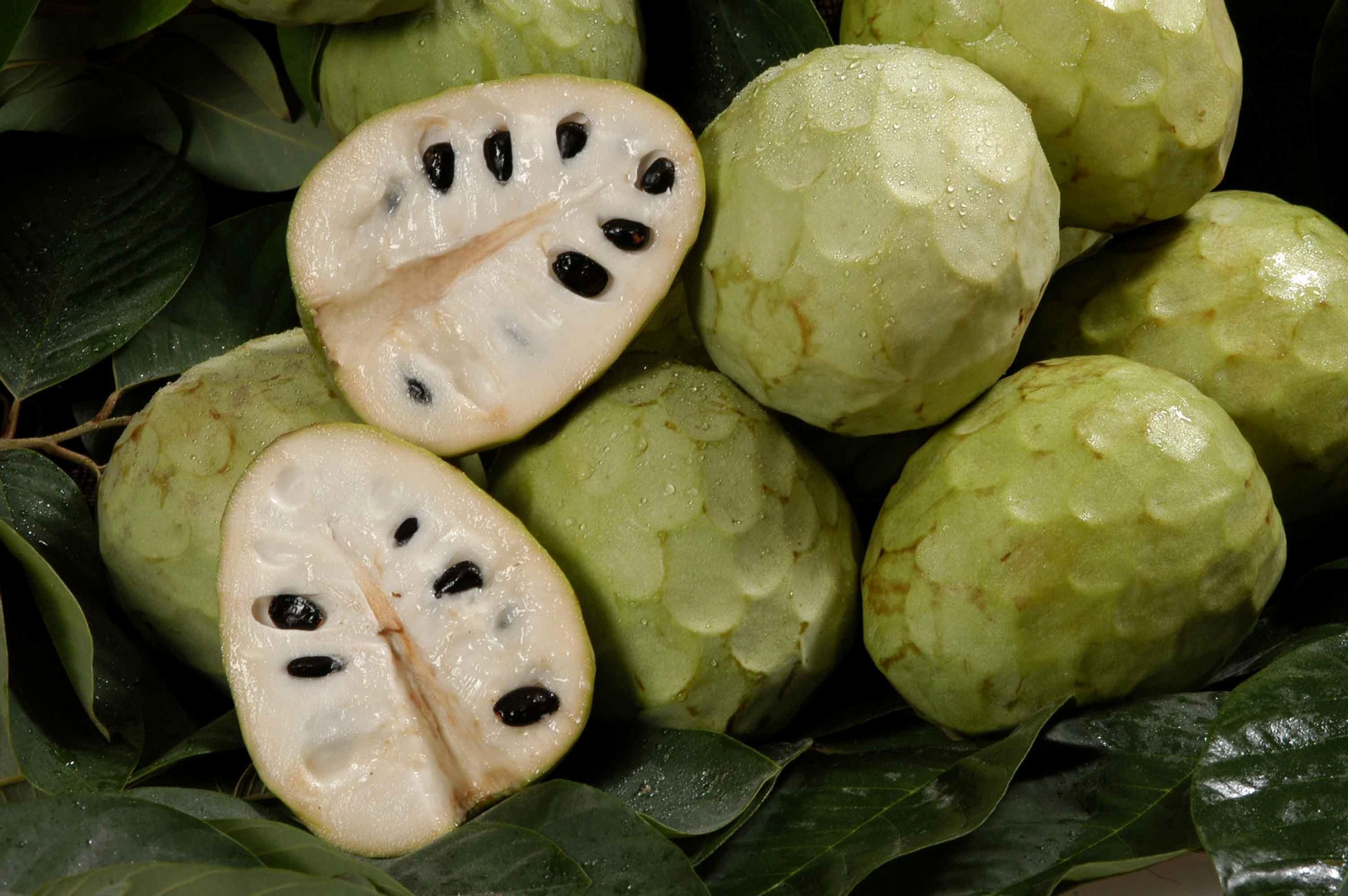 Chirimoyas
