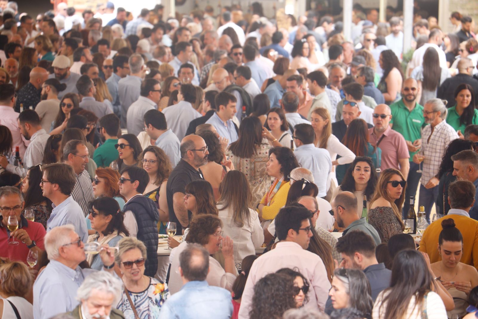 El viernes en la Cata del Vino de Córdoba, en imágenes