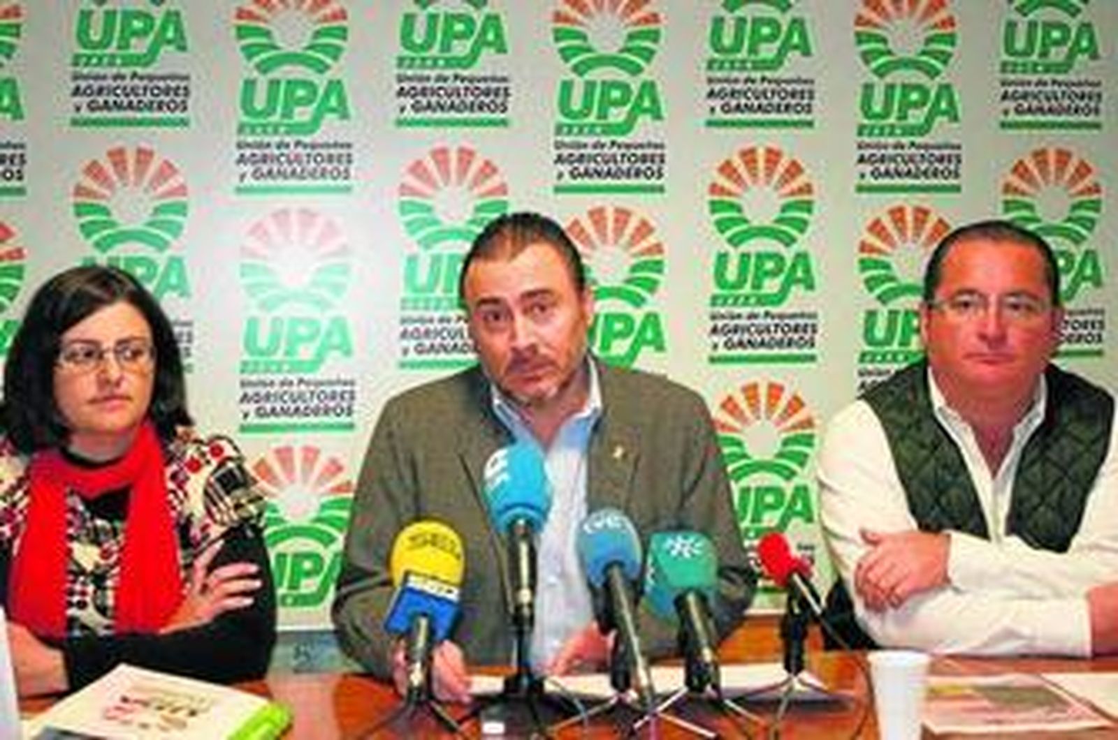 Agustín Rodríguez, en el centro, durante la presentación de los datos del informe.