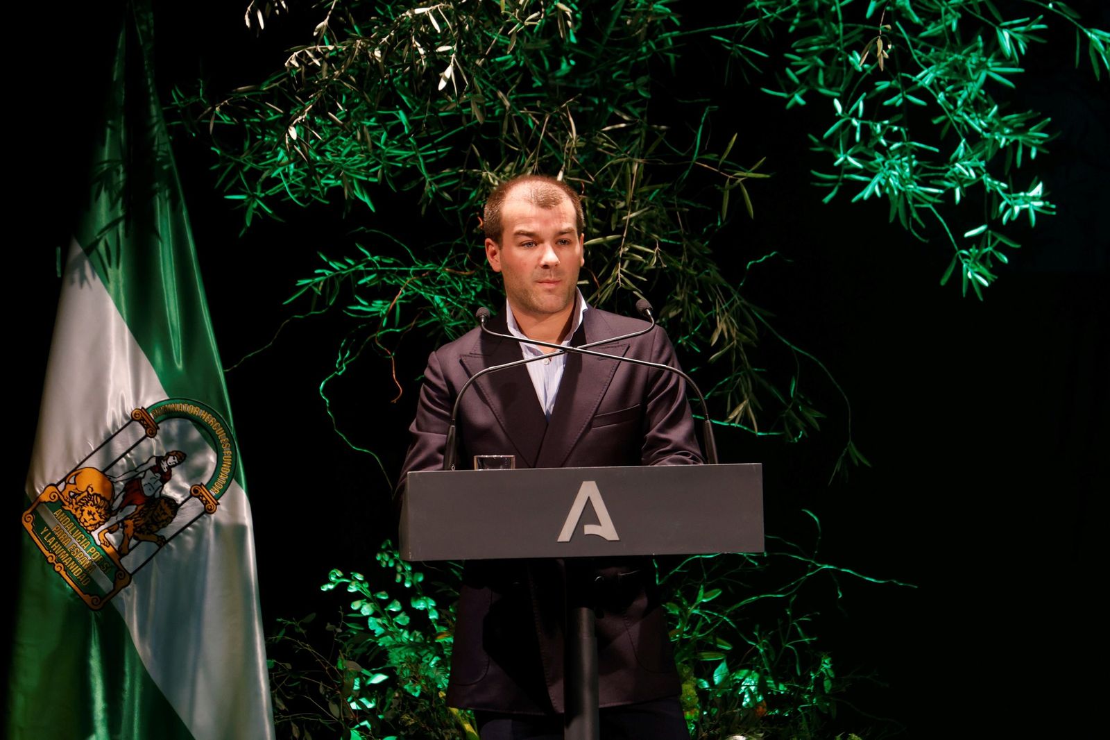 La entrega de las Banderas de Andalucía por el 28F en Córdoba, en imágenes