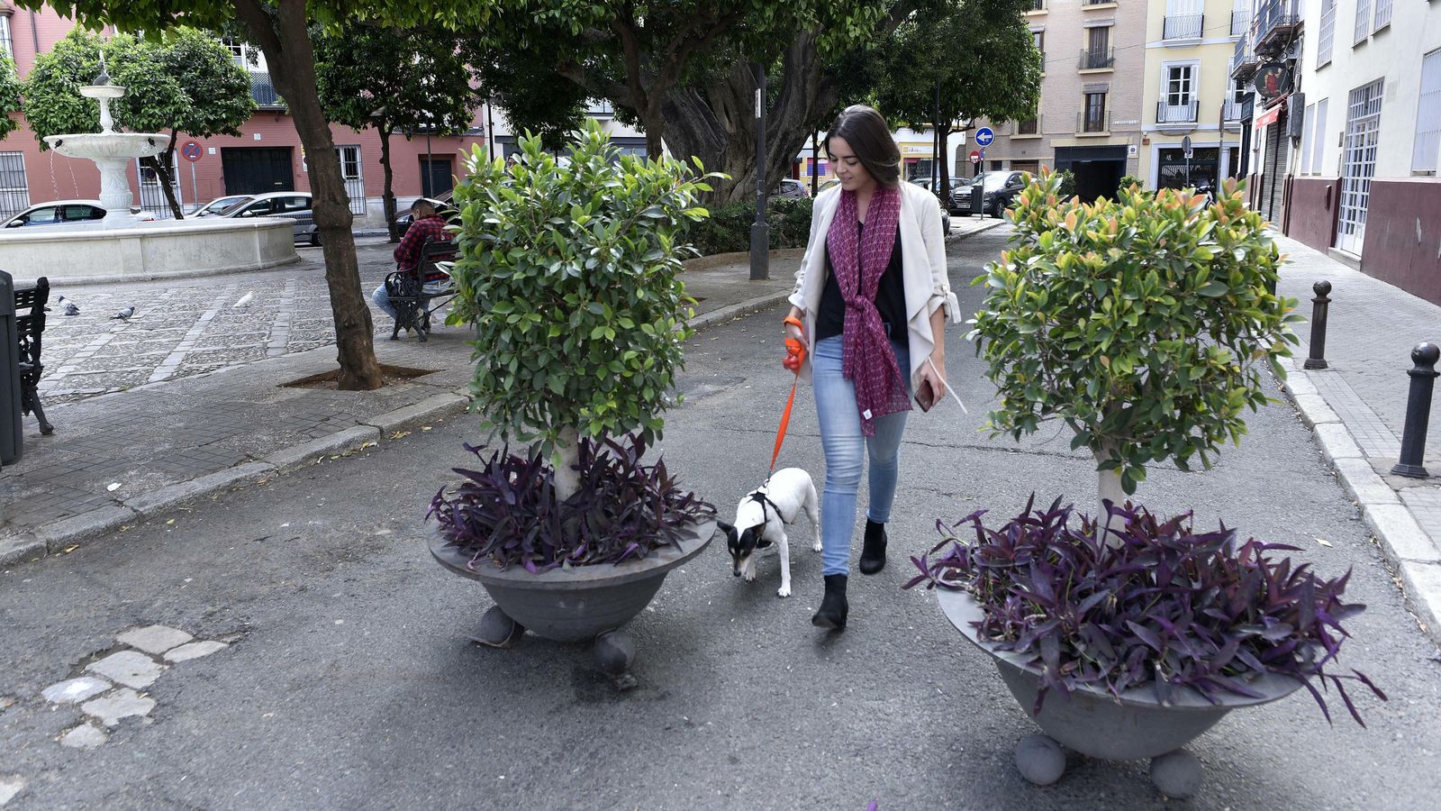 Los macetones impiden a los vehículos acceder a la zona peatonal.