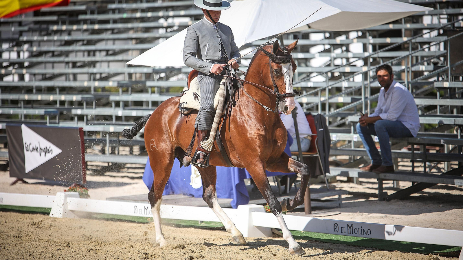 Imágenes de la XVI Copa de S.M. el Rey de Doma Vaquera