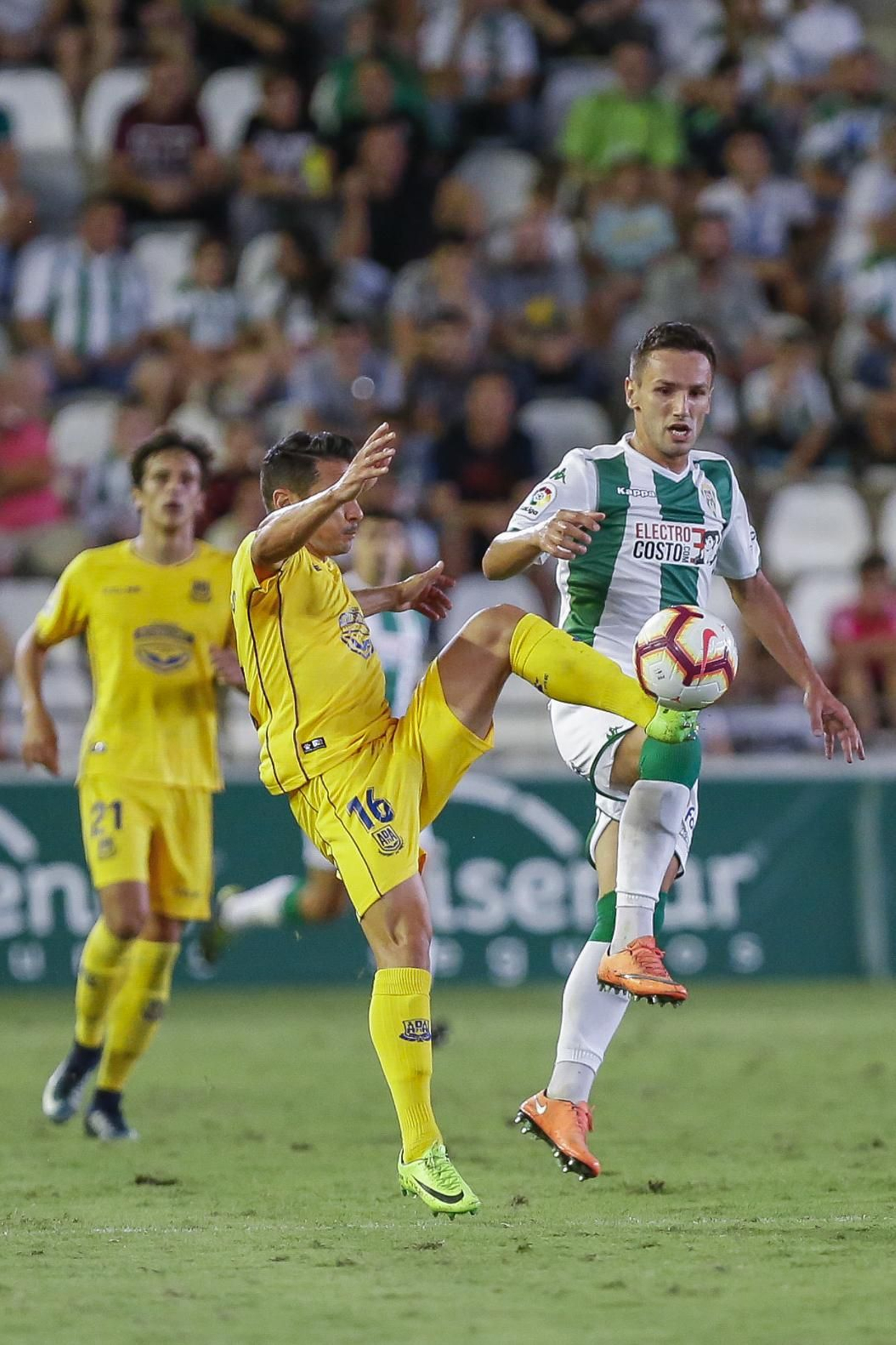 Las imágenes del Córdoba-Alcorcón