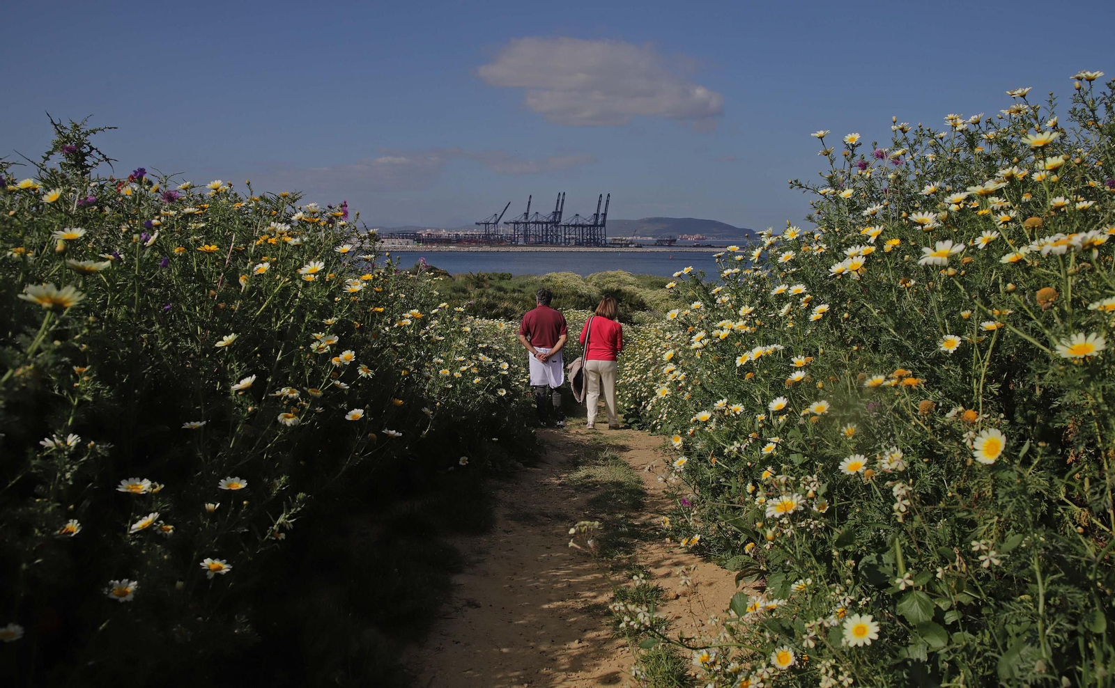 Fotos del estado de abandono del Parque del Centenario de Algeciras