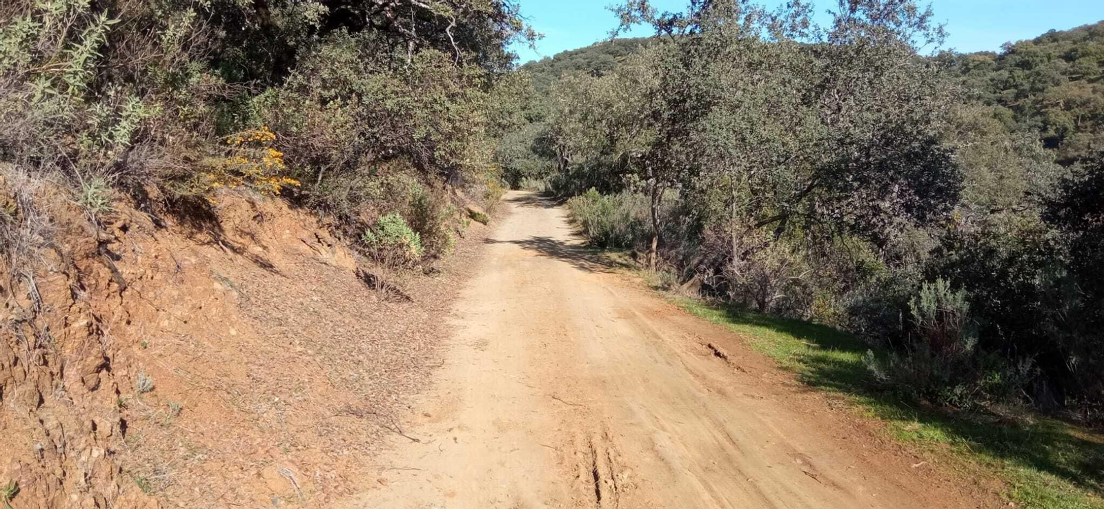 Fotos de la Ruta circular Aracena-Linares de la Sierra-Aracena