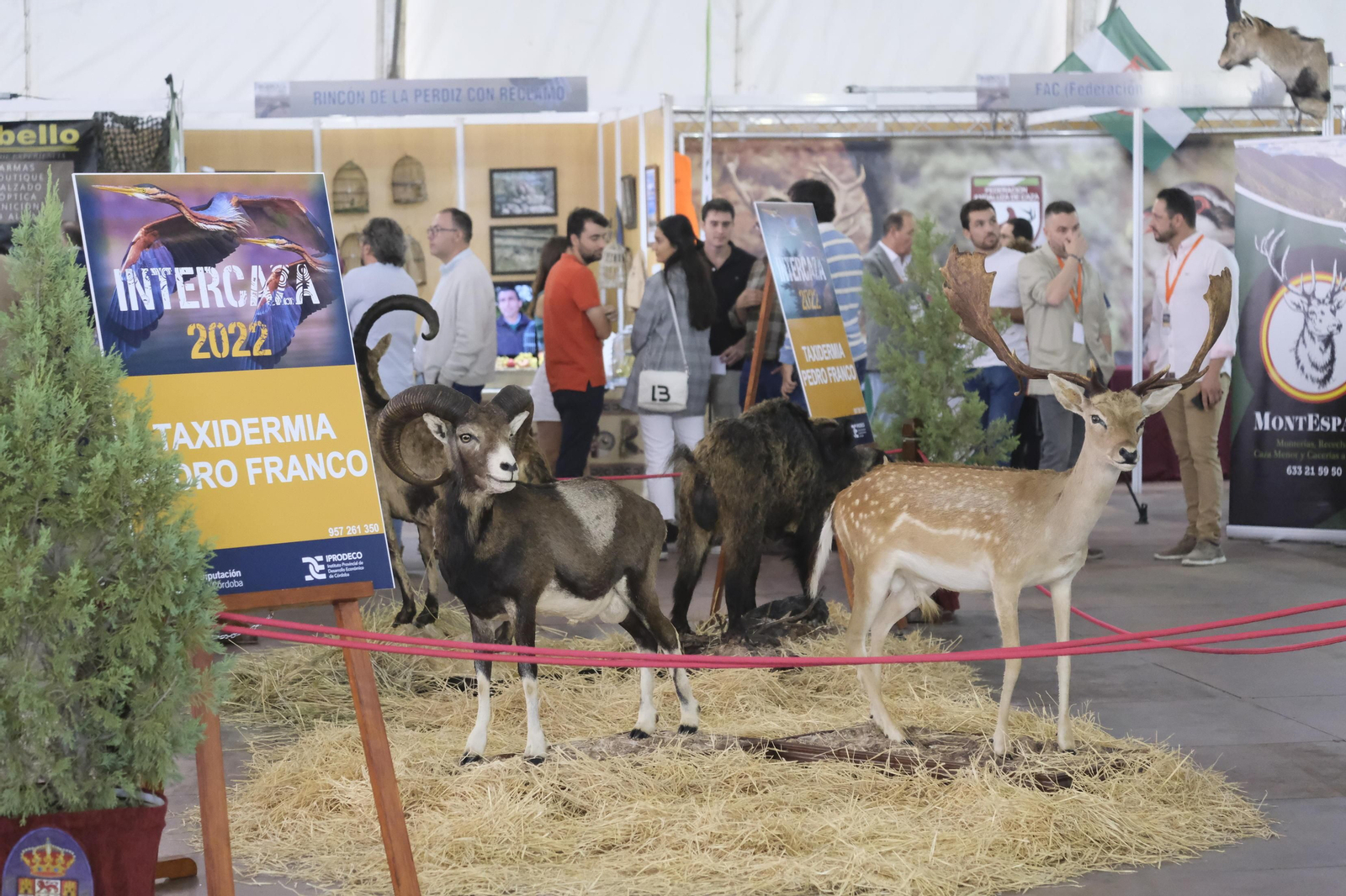 La inauguración de Intercaza 2022, en imágenes
