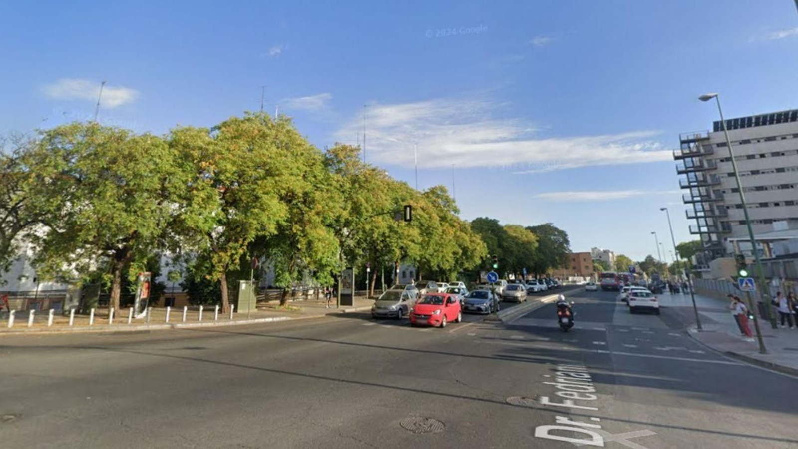 Los veinte ejemplares, ubicados frente al hospital, han sido talados po incompatibilidad con el trayecto de la Línea 3