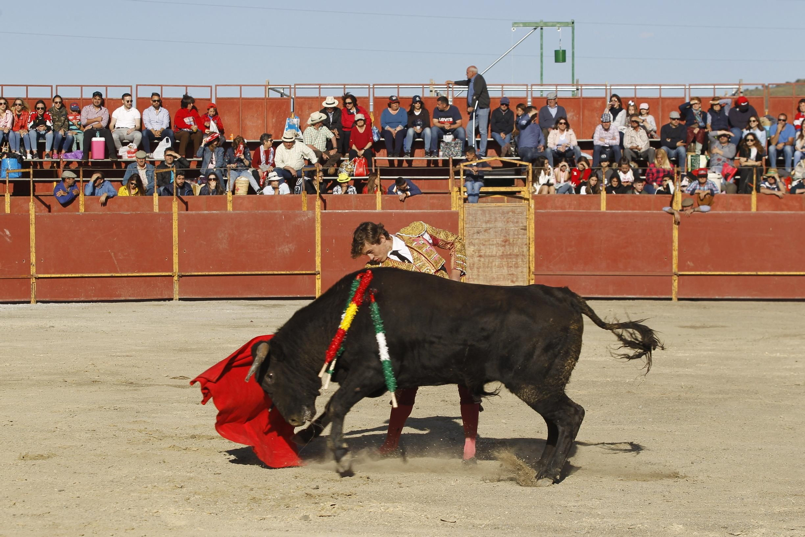Fotogalería Novillada Fiestas de Abrucena