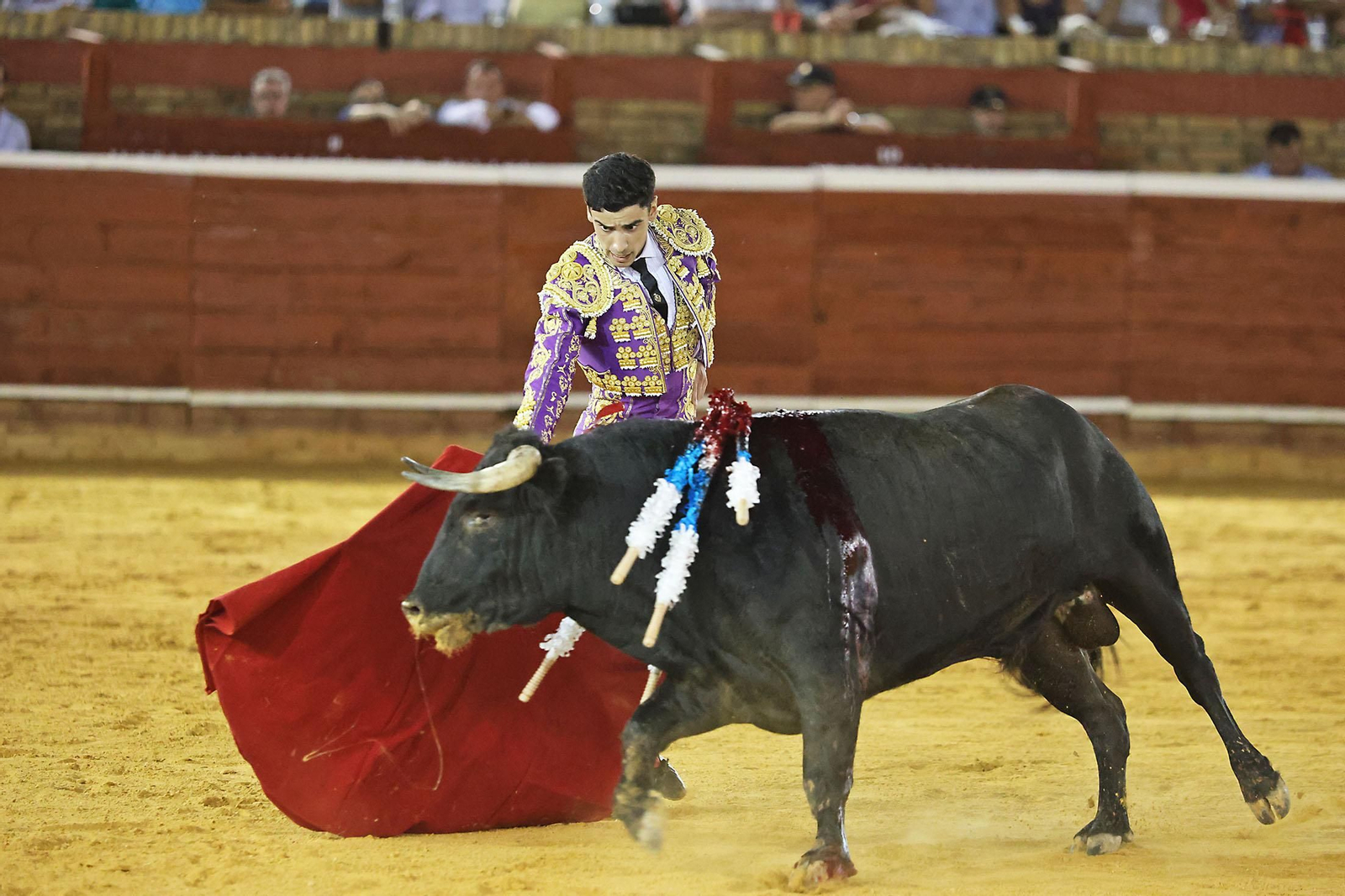 Toros La Merced 2024 Novillada con picadores(
