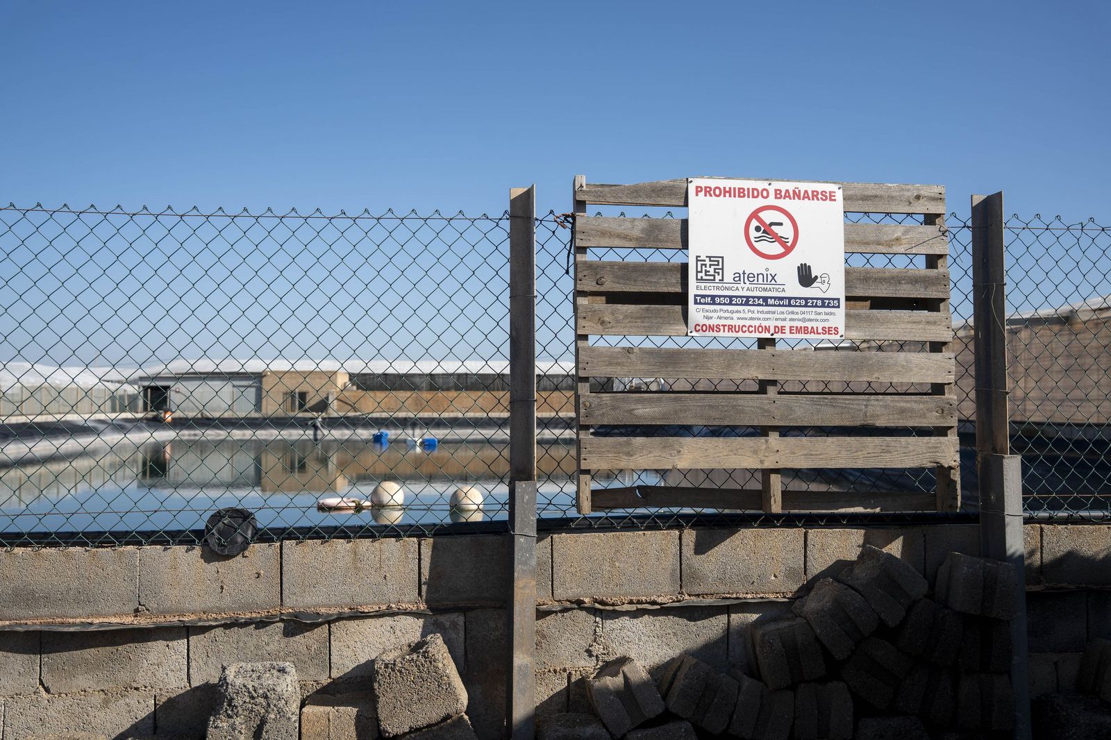 La primavera se planta en invierno entre sandías y tomates almerienses