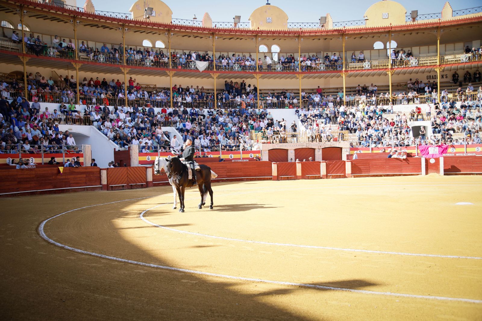 Imágenes del festival mixto lucha contra el cáncer
