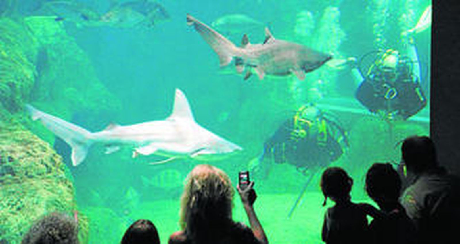 Las ins talaciones de Roquetas son las más grandes de Andalucía.