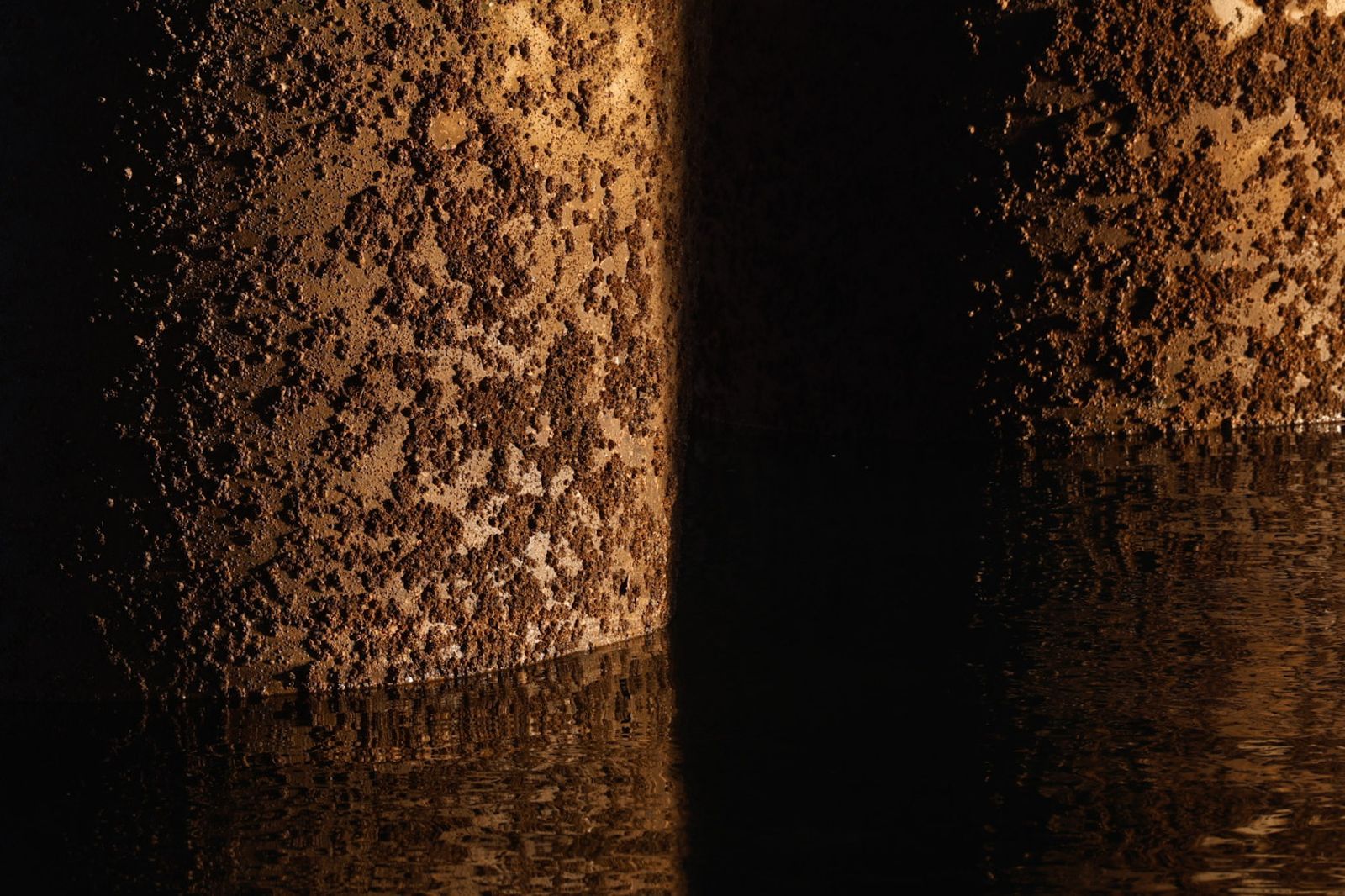 La Punta del Sebo, un lugar maravilloso para visitar y fotografiar a los pies de los ríos Tinto y Odiel