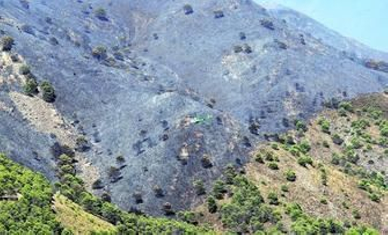 Un helicóptero ayer en las tareas de extinción del incendio forestal que afectó al parque natural de Sierra Tejeda.