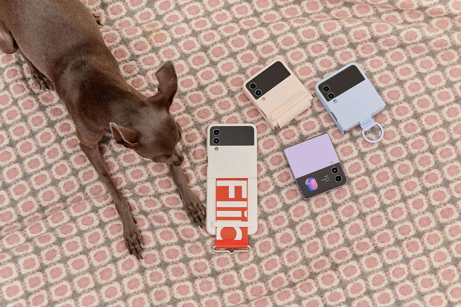 Accesorios para el Samsung Galaxy Z Flip4