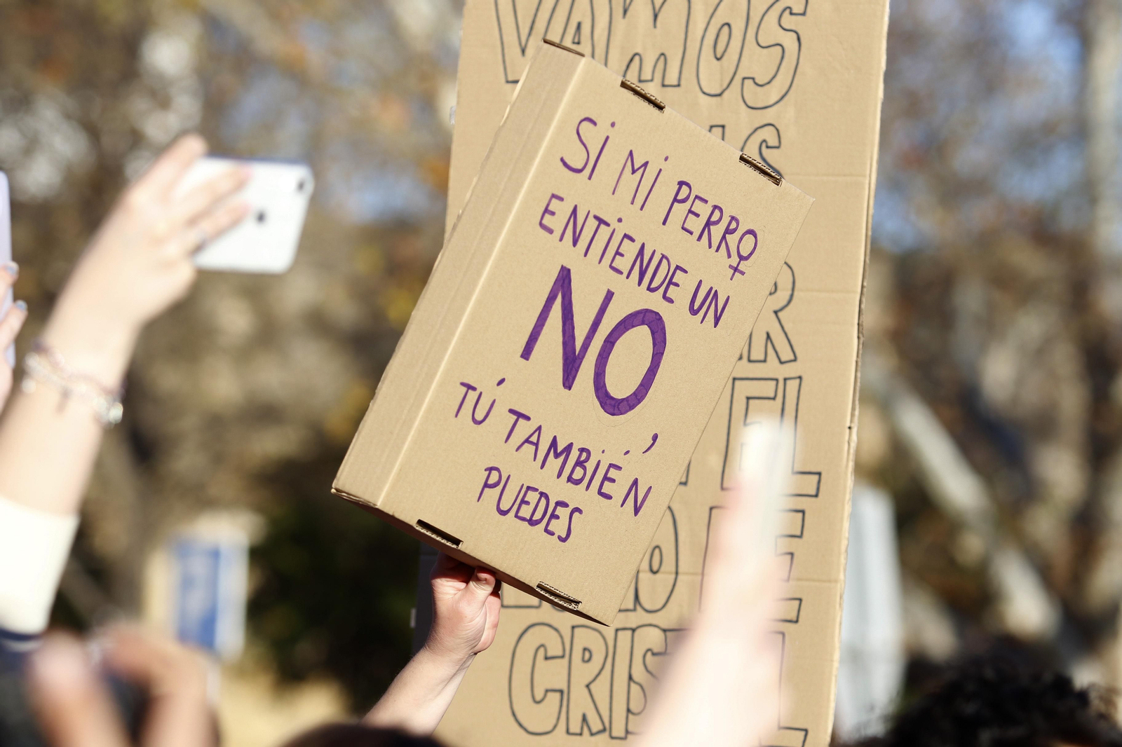 La manifestación del 8M en Córdoba, en fotografías