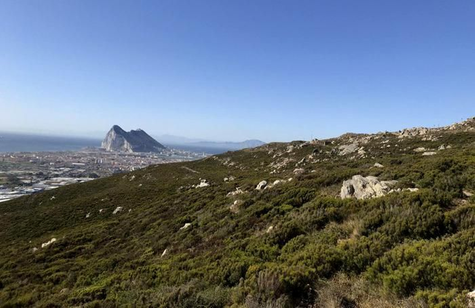 Una vista de la despoblada sierra Carbonera, hace tres siglos cubierta de exuberante bosque de alcornoques.