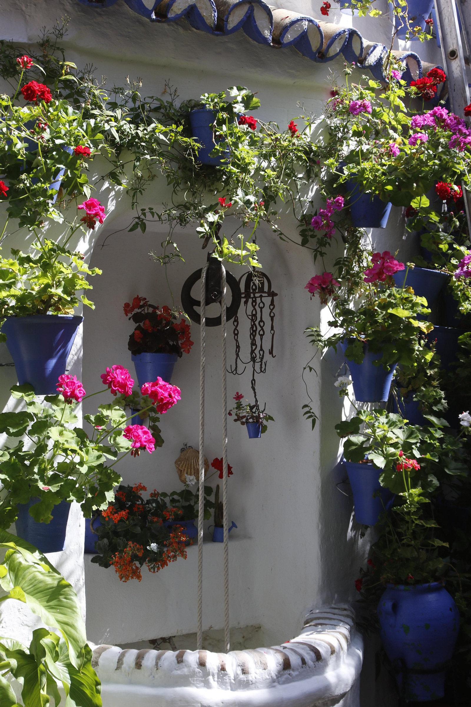 Las fotos de los Patios de Córdoba en este atípico mes de mayo