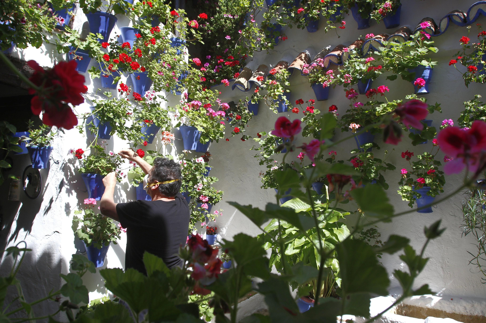 Las fotos de los Patios de Córdoba en tiempos de crisis: Postrera, 28