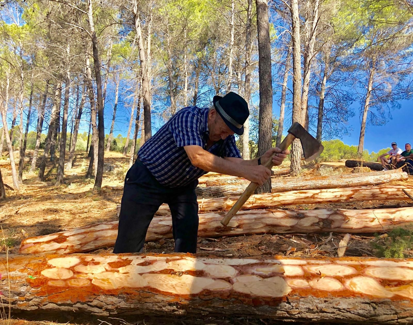 Así trabajaban los pineros de Segura.