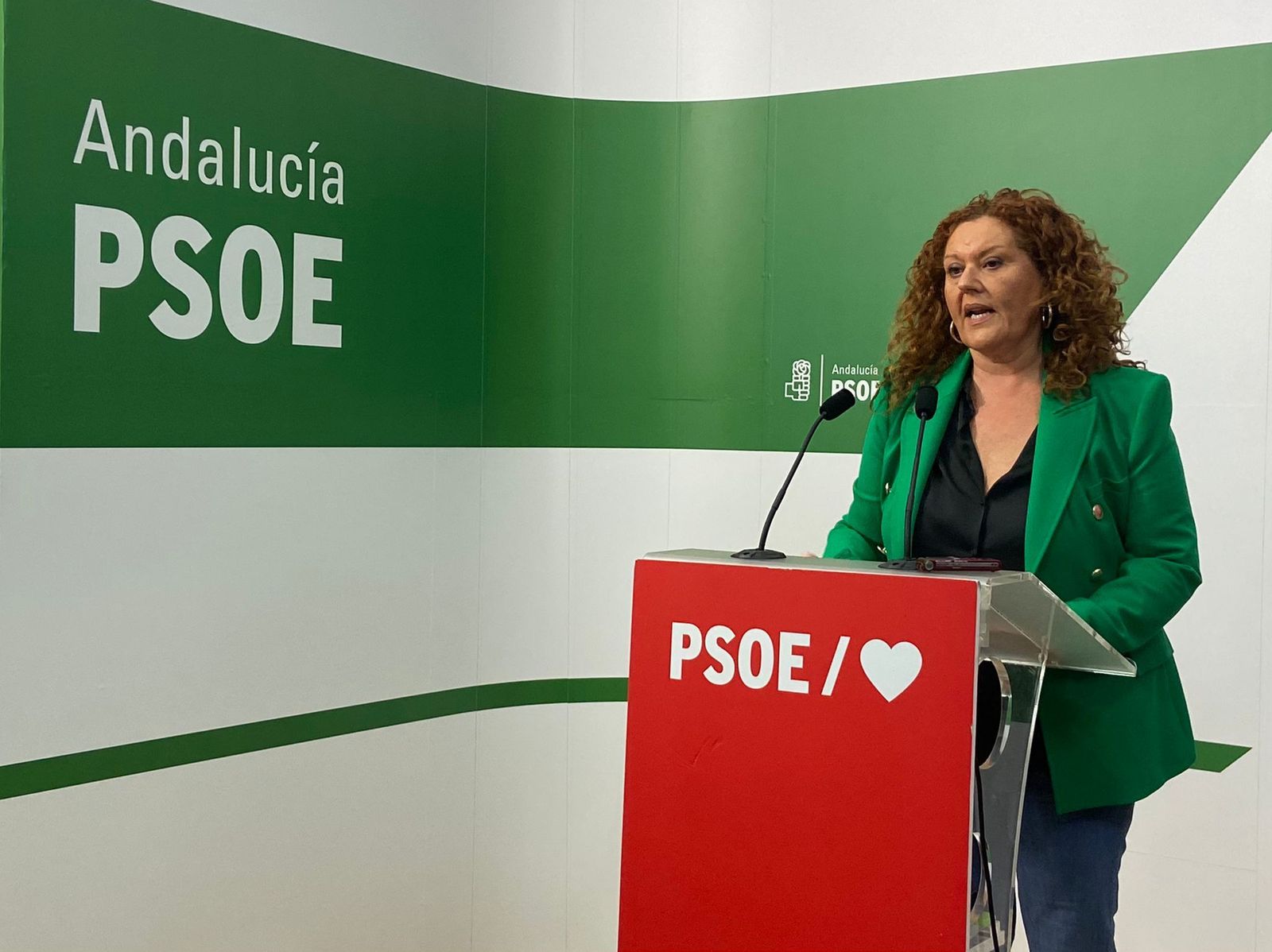 Araceli Maese, secretaria de Organización del PSOE de Cádiz.