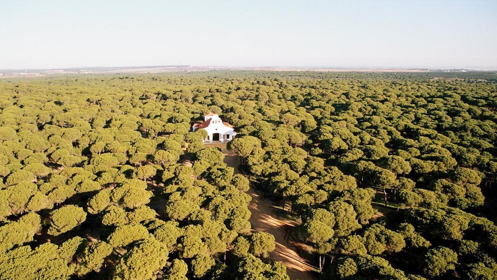 Ermita de Aljaraque entre el pinar.