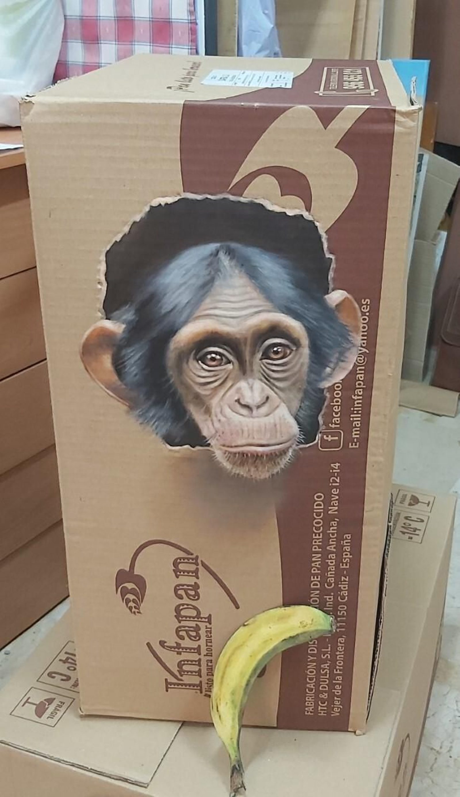 Obra de Julio Rodríguez.